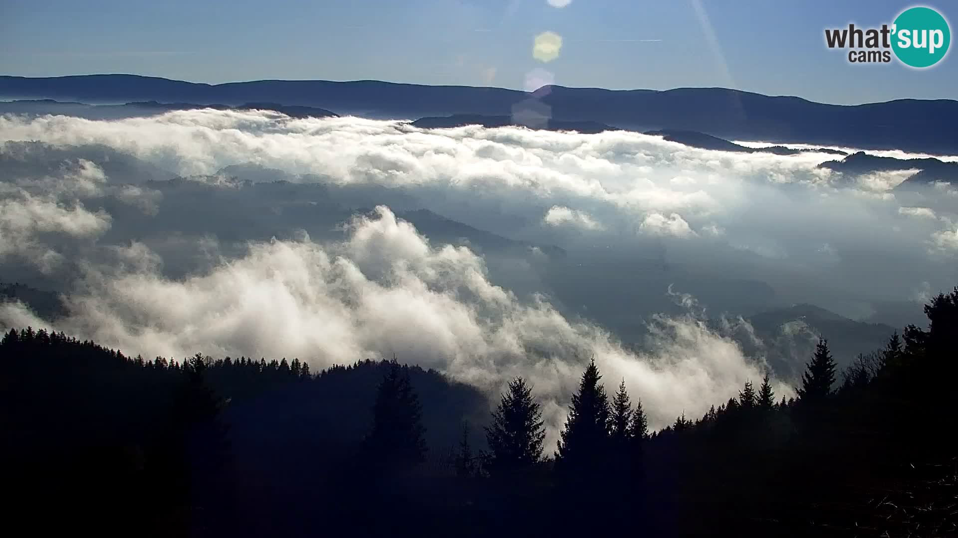 Webcam Kapunar – Radlje ob Dravi