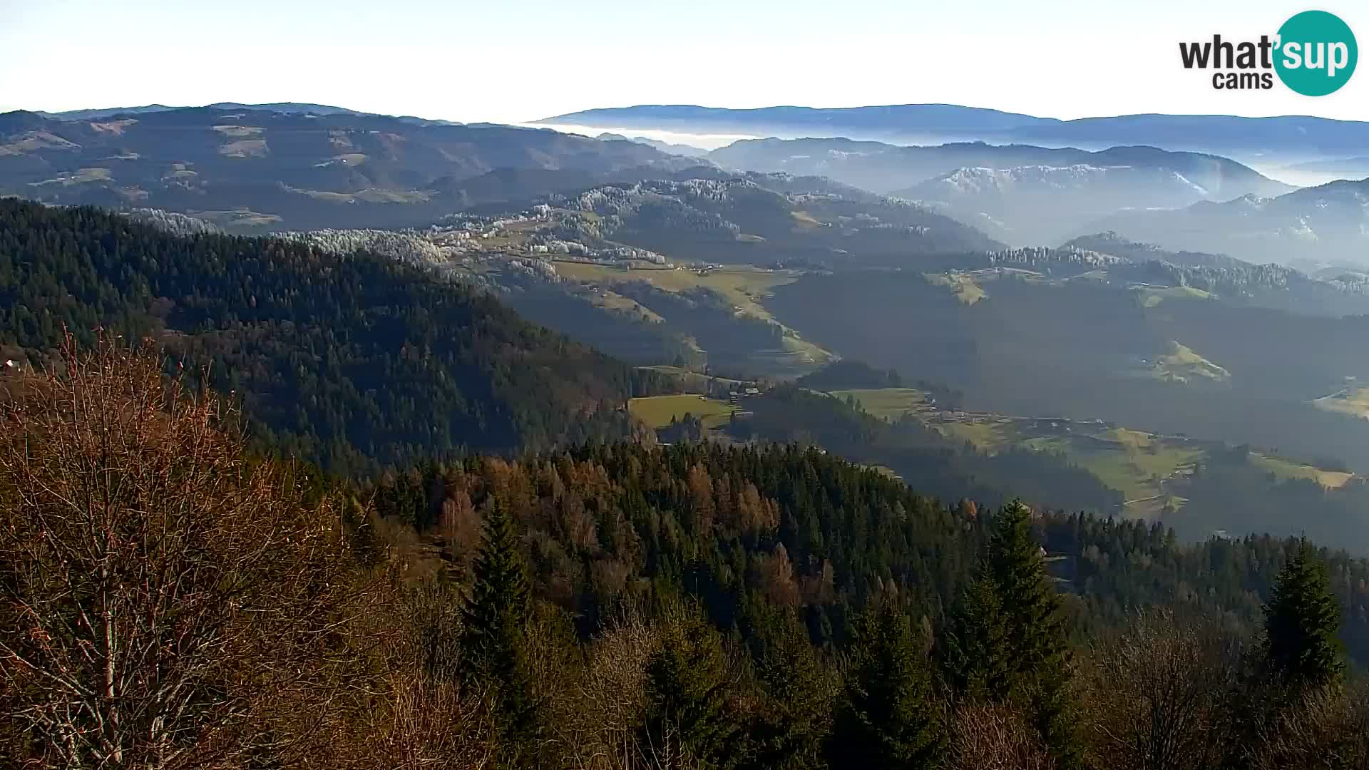 Spletna kamera Kapunar – Radlje ob Dravi