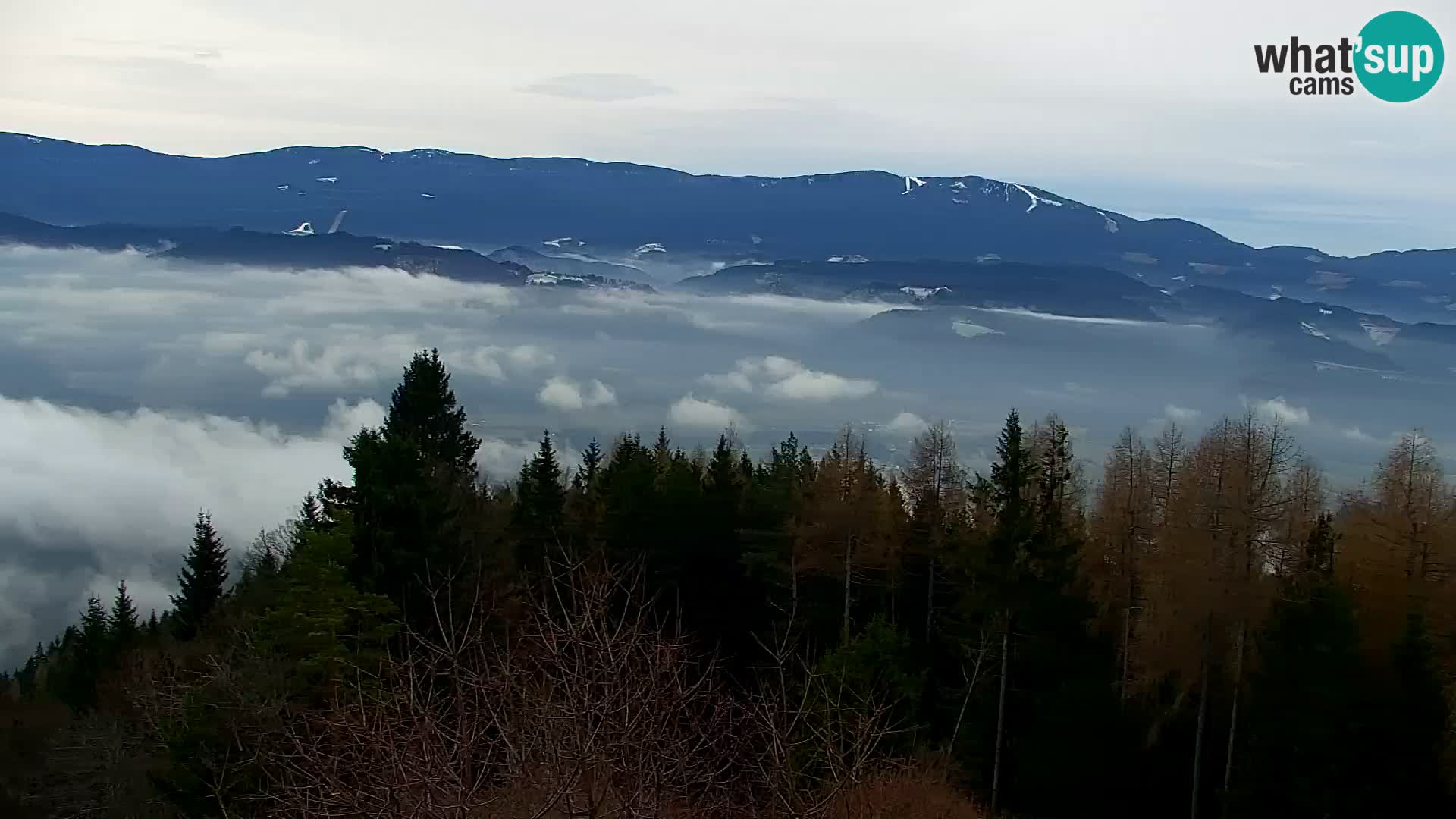 Kapunar Web kamera – Radlje ob Dravi