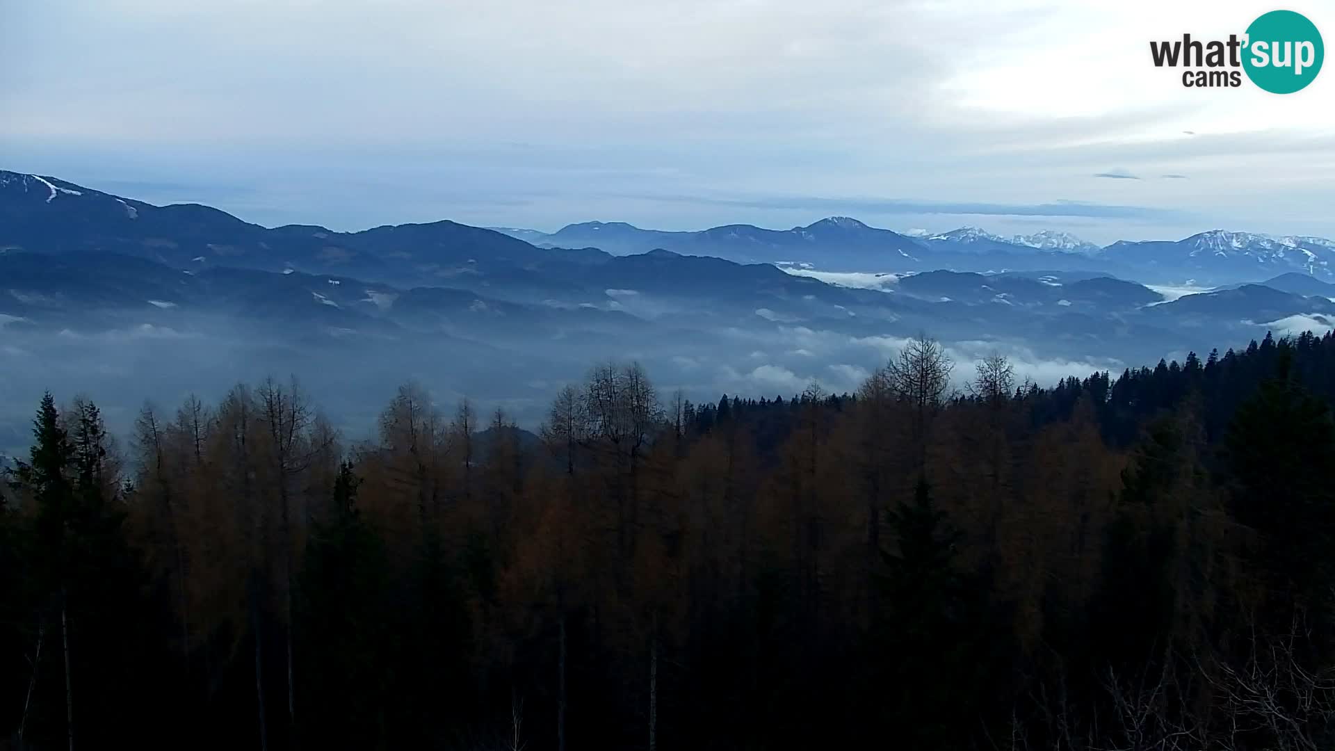 Webcam Kapunar – Radlje ob Dravi