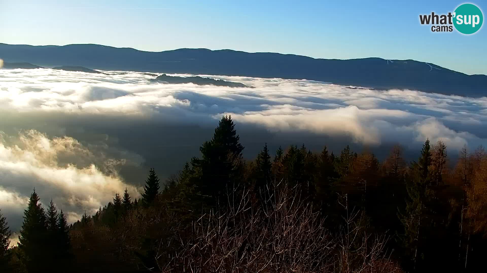 Kapunar Webcam – Radlje ob Dravi