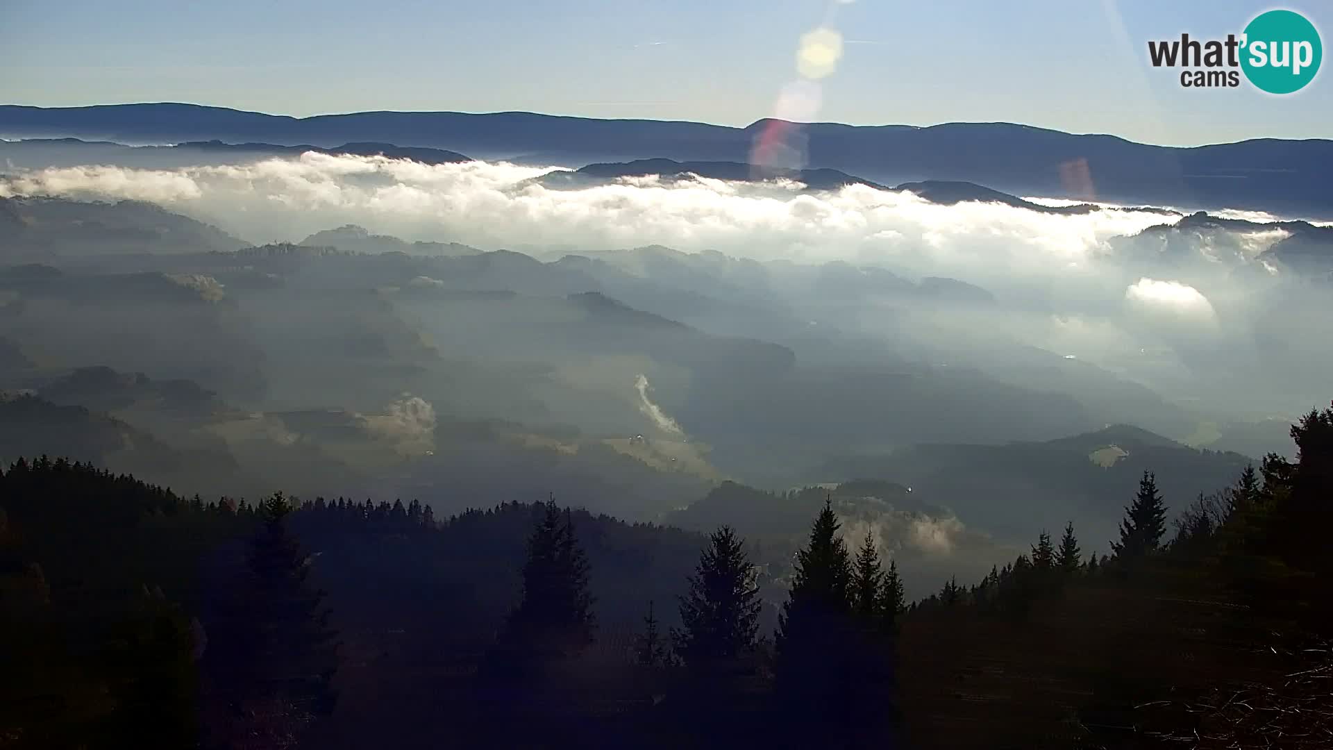 Kapunar Web kamera – Radlje ob Dravi