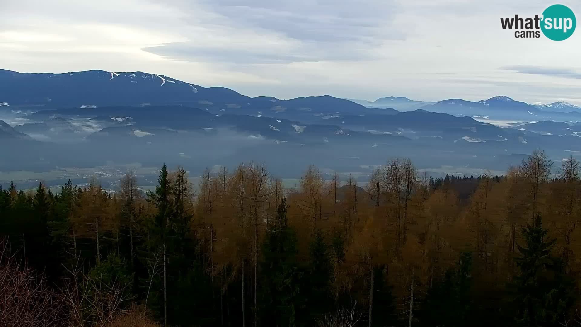 Webcam Kapunar – Radlje ob Dravi