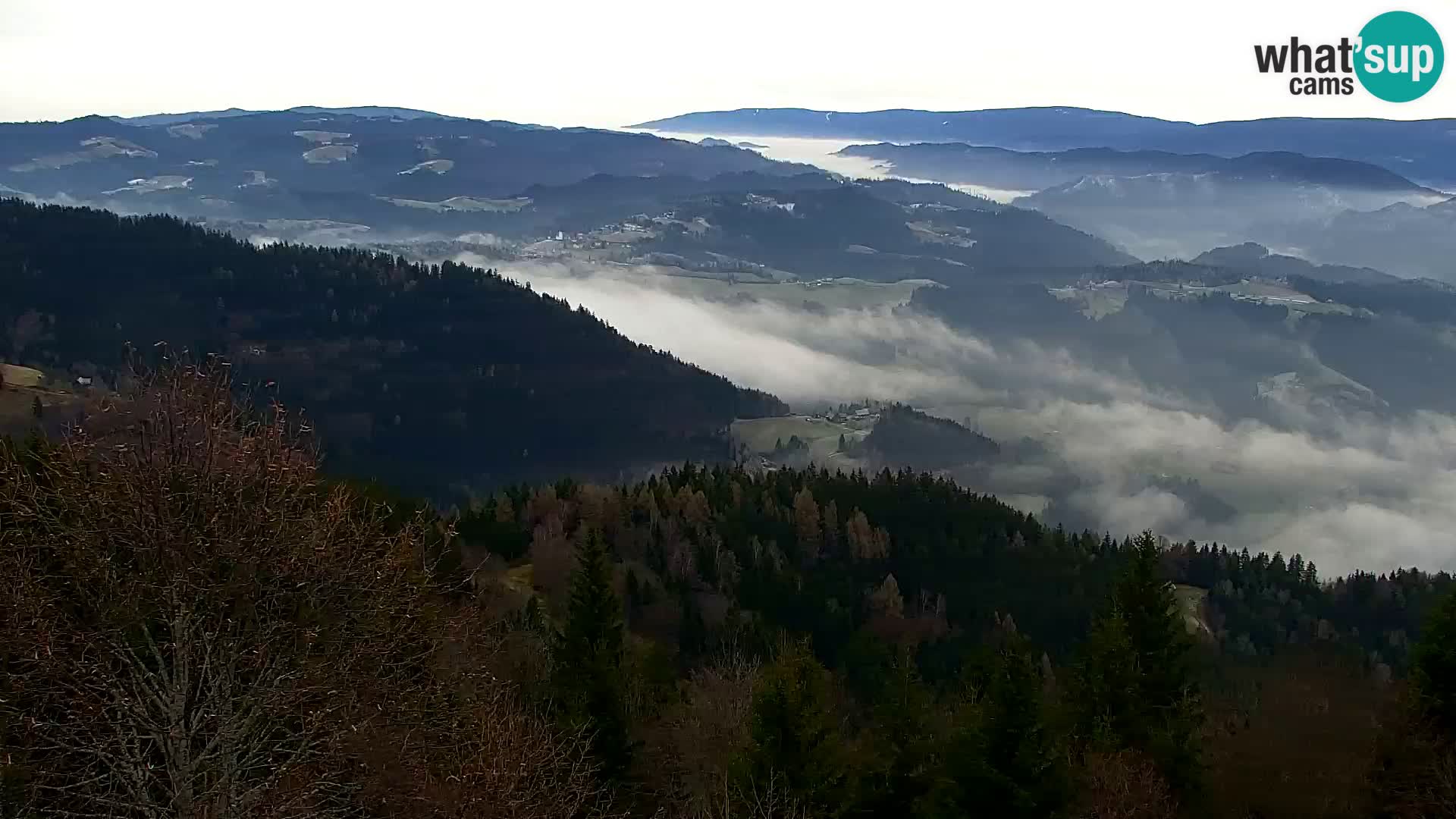 Kapunar Webcam – Radlje ob Dravi