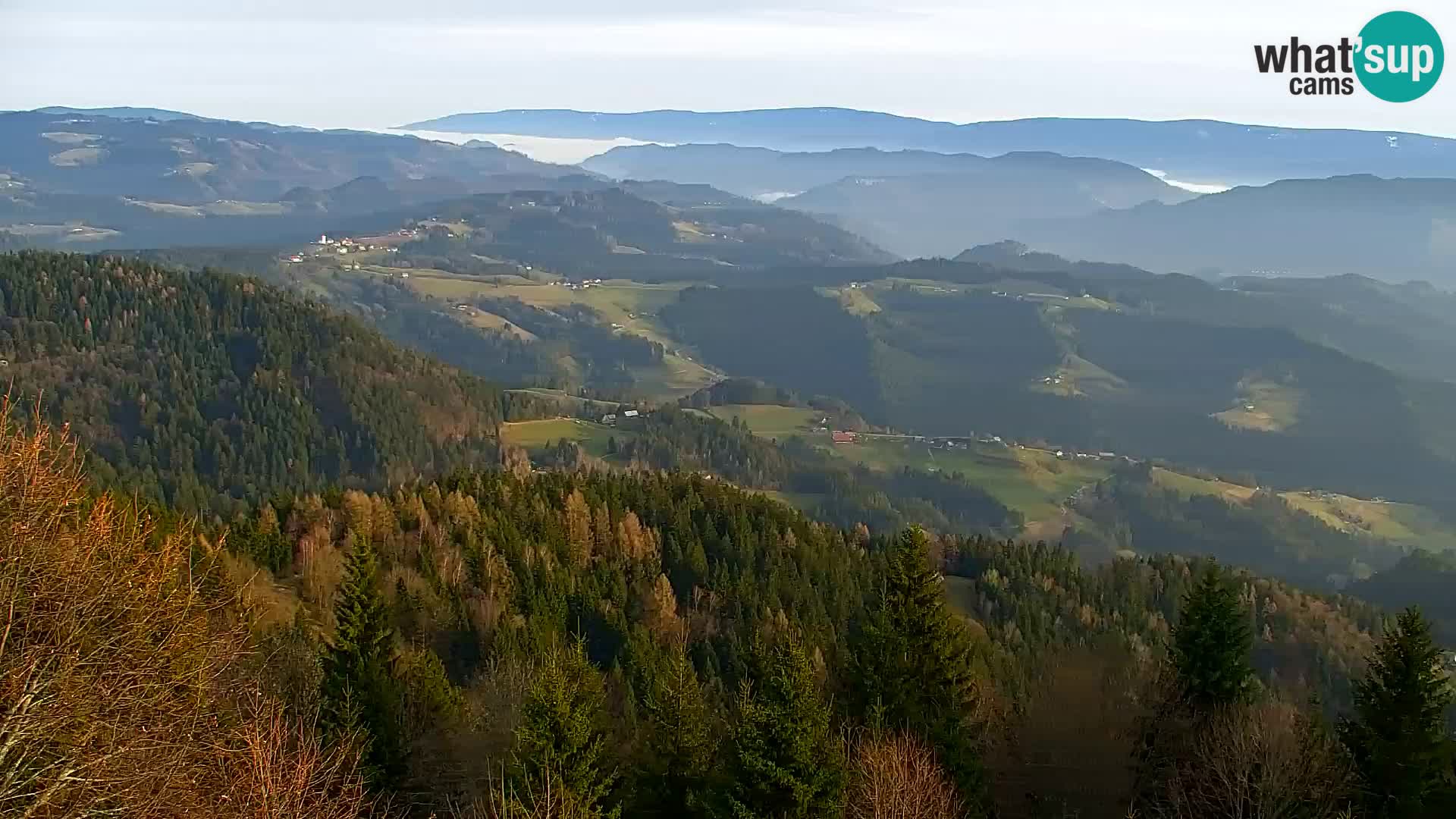 Kapunar Webcam – Radlje ob Dravi