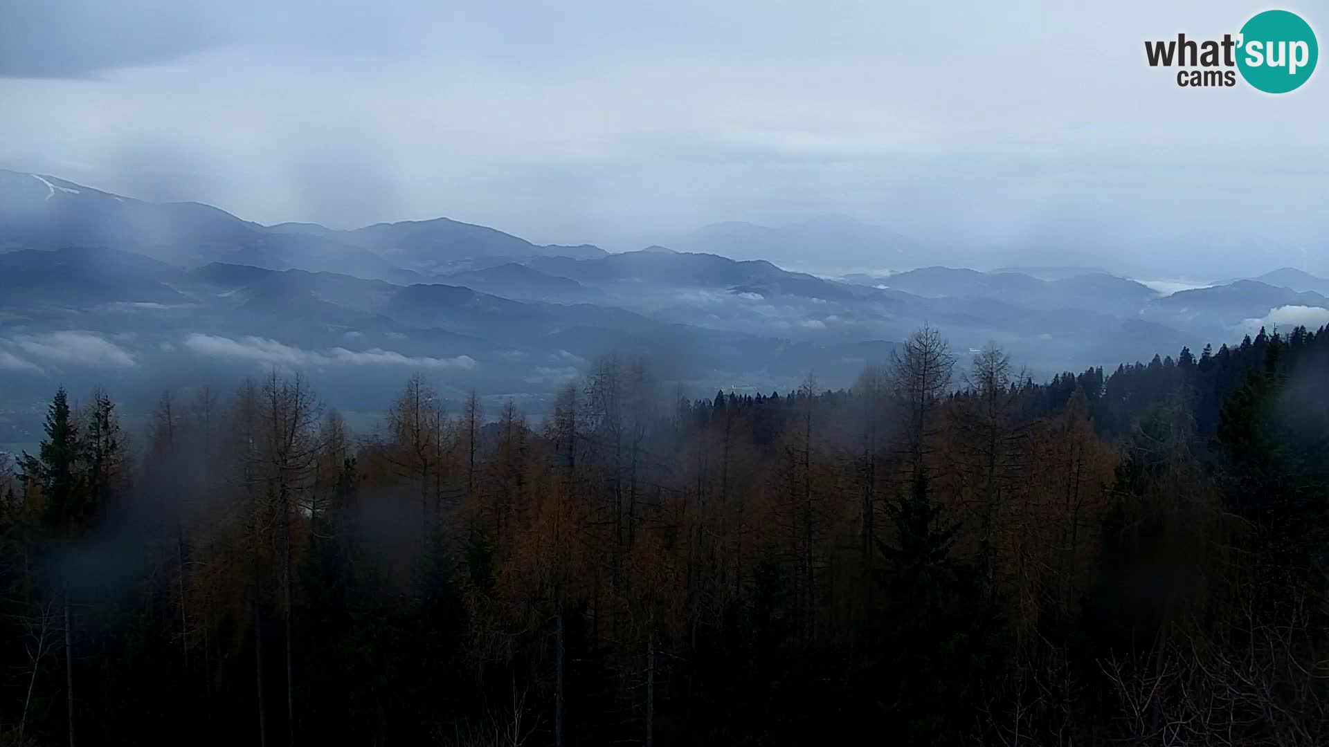 Spletna kamera Kapunar – Radlje ob Dravi