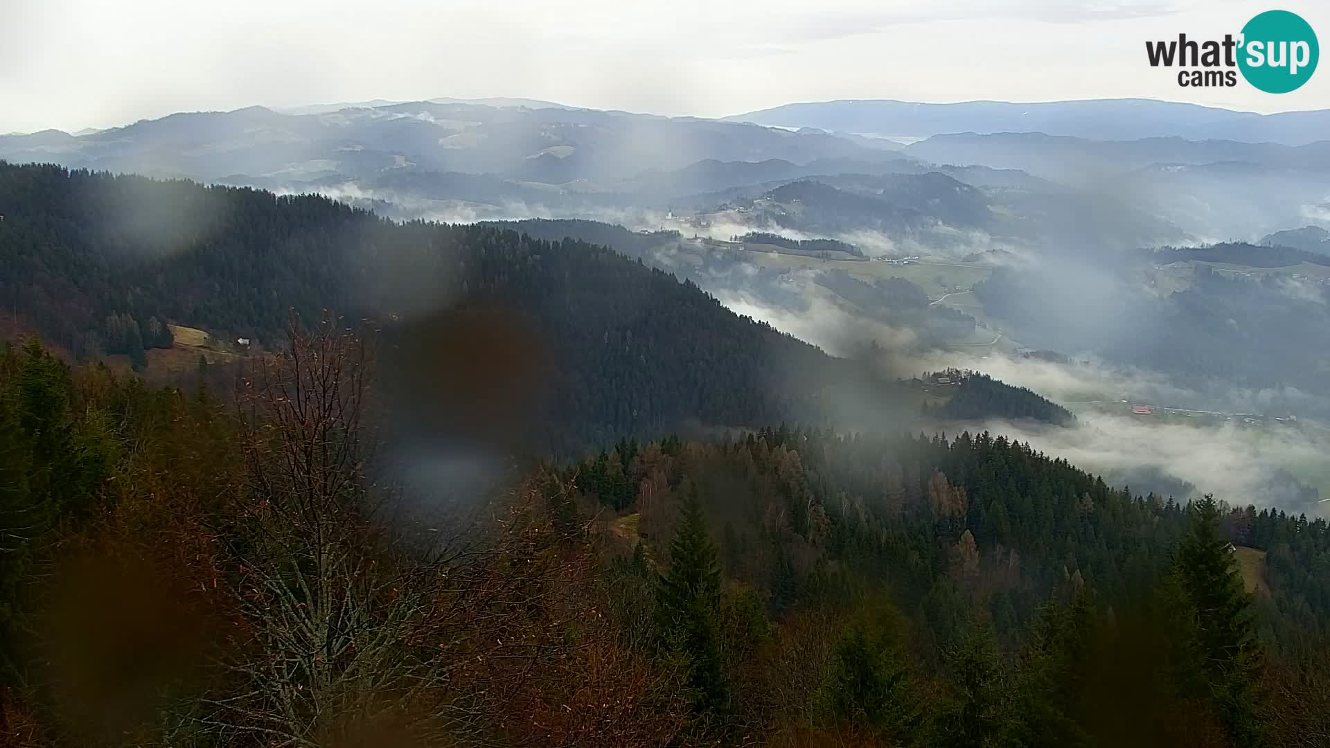 Spletna kamera Kapunar – Radlje ob Dravi
