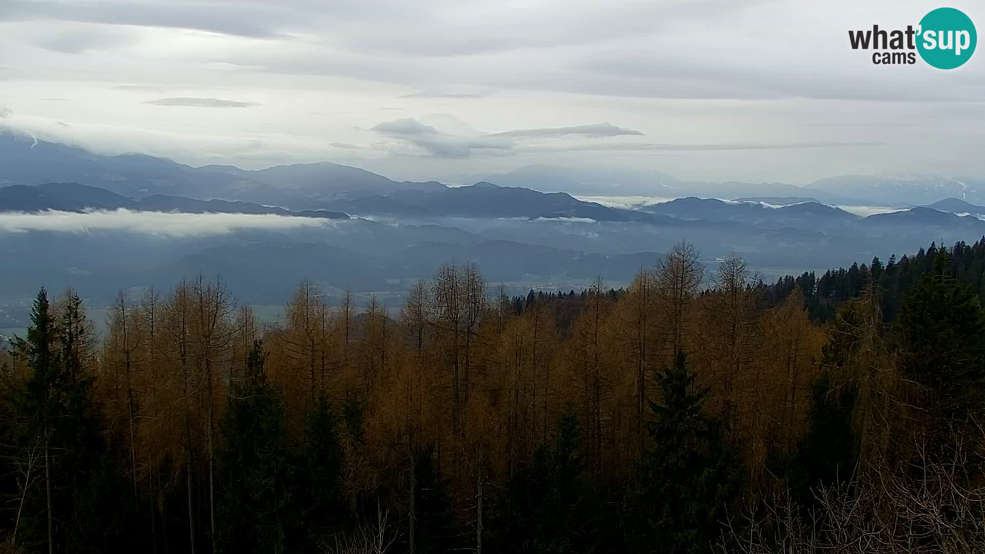 Kapunar Webcam – Radlje ob Dravi