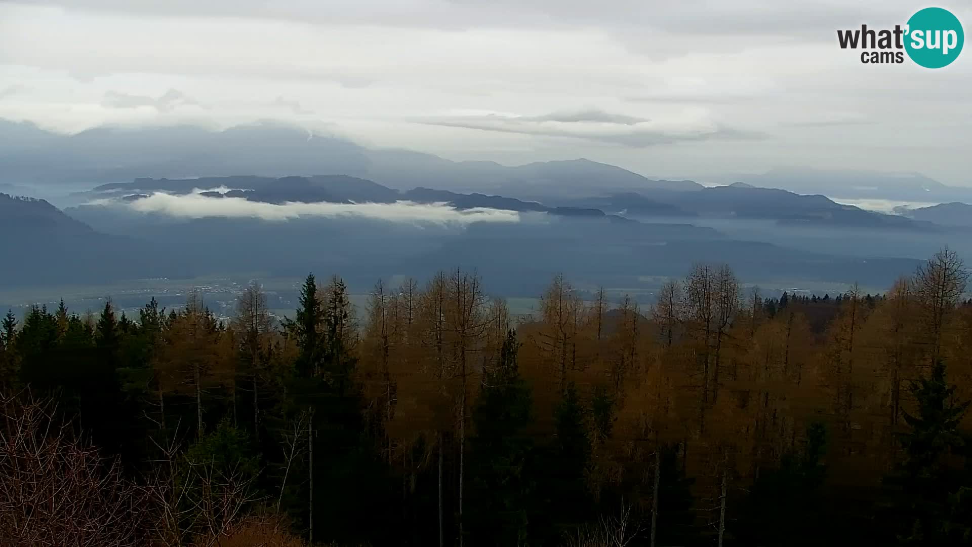 Live cam Kapunar – Radlje ob Dravi