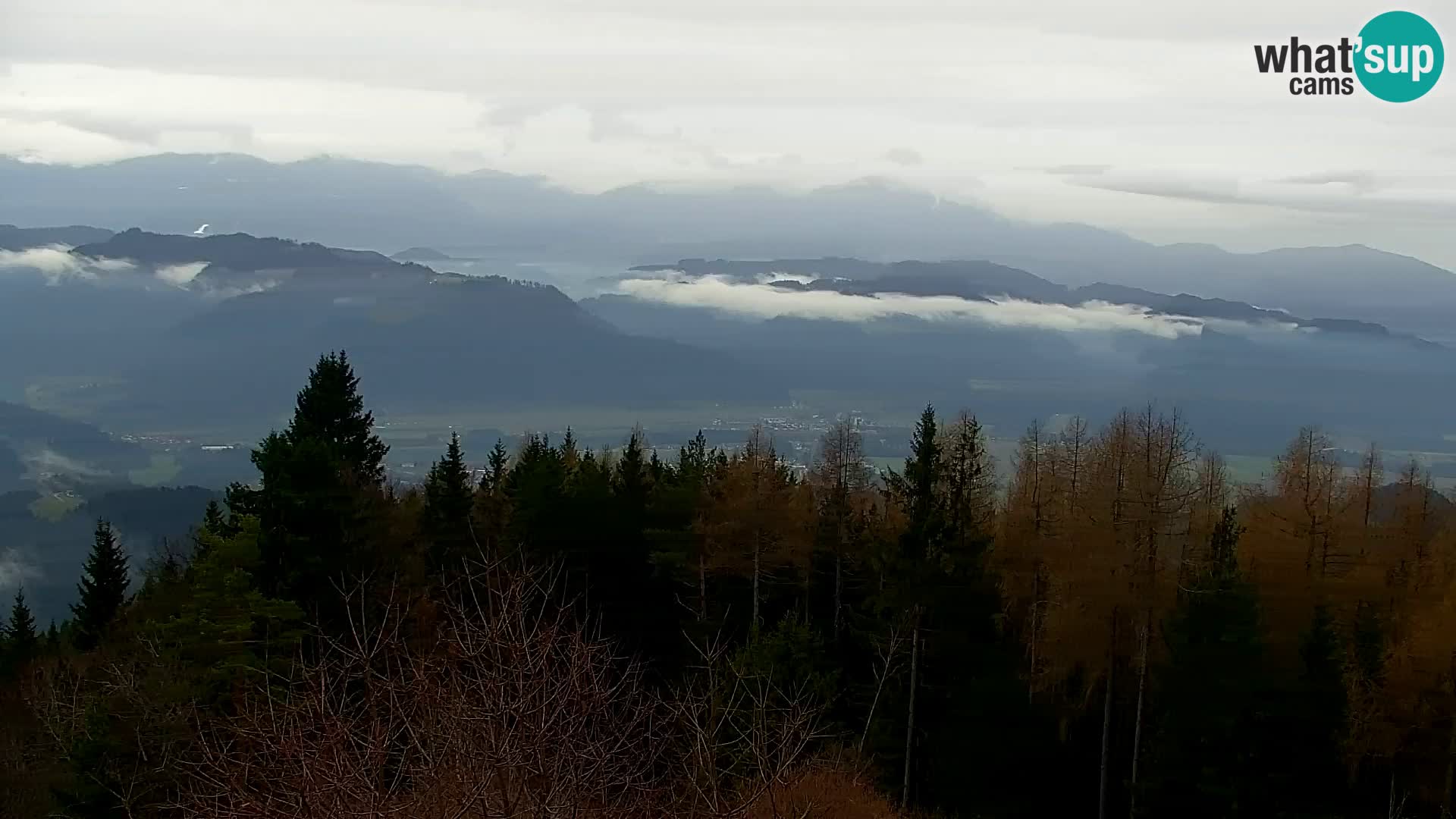 Kapunar Web kamera – Radlje ob Dravi