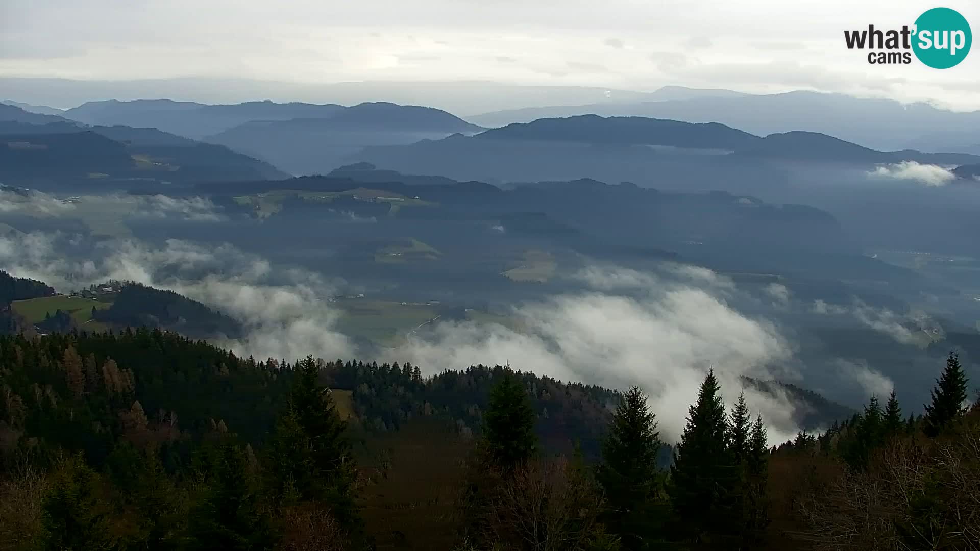 Webcam Kapunar – Radlje ob Dravi