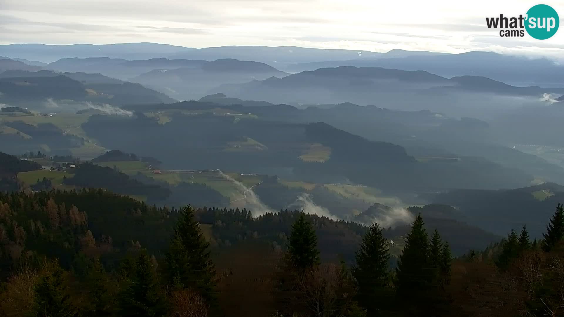 Kapunar Web kamera – Radlje ob Dravi