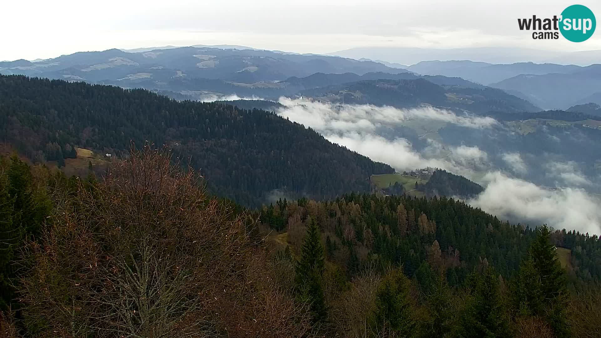 Webcam Kapunar – Radlje ob Dravi