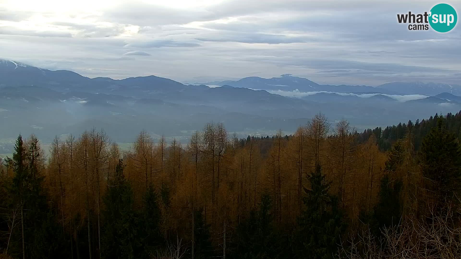 Live cam Kapunar – Radlje ob Dravi