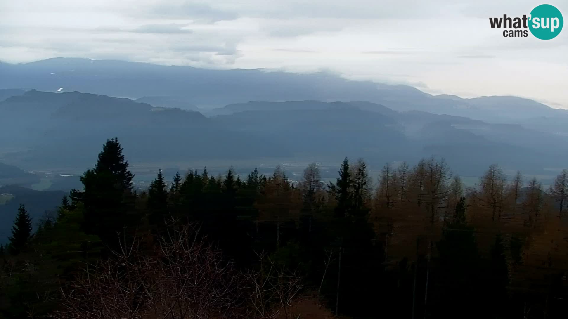 Live cam Kapunar – Radlje ob Dravi