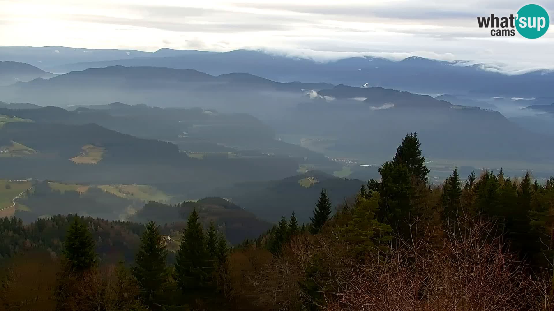 Spletna kamera Kapunar – Radlje ob Dravi