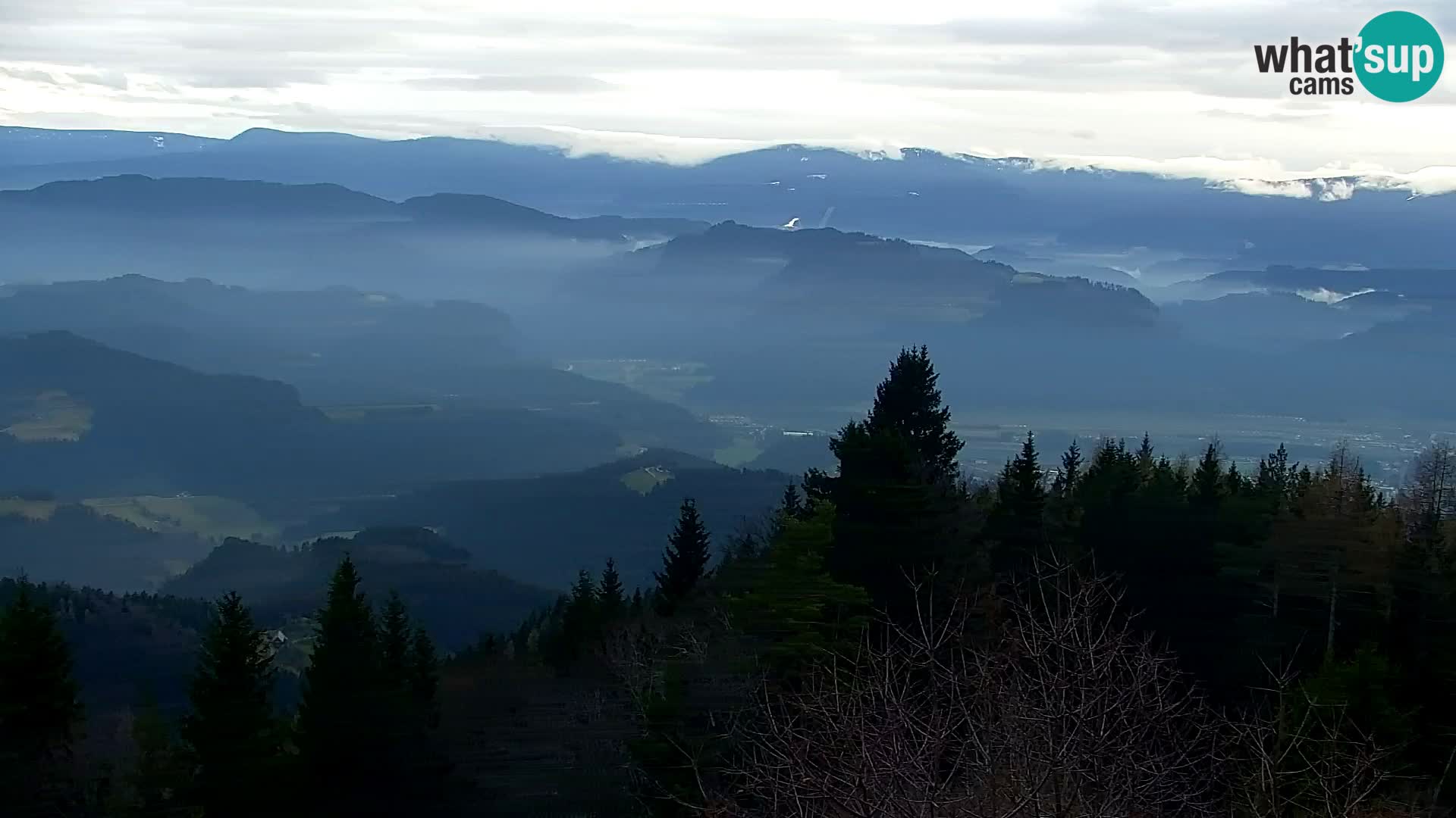 Spletna kamera Kapunar – Radlje ob Dravi