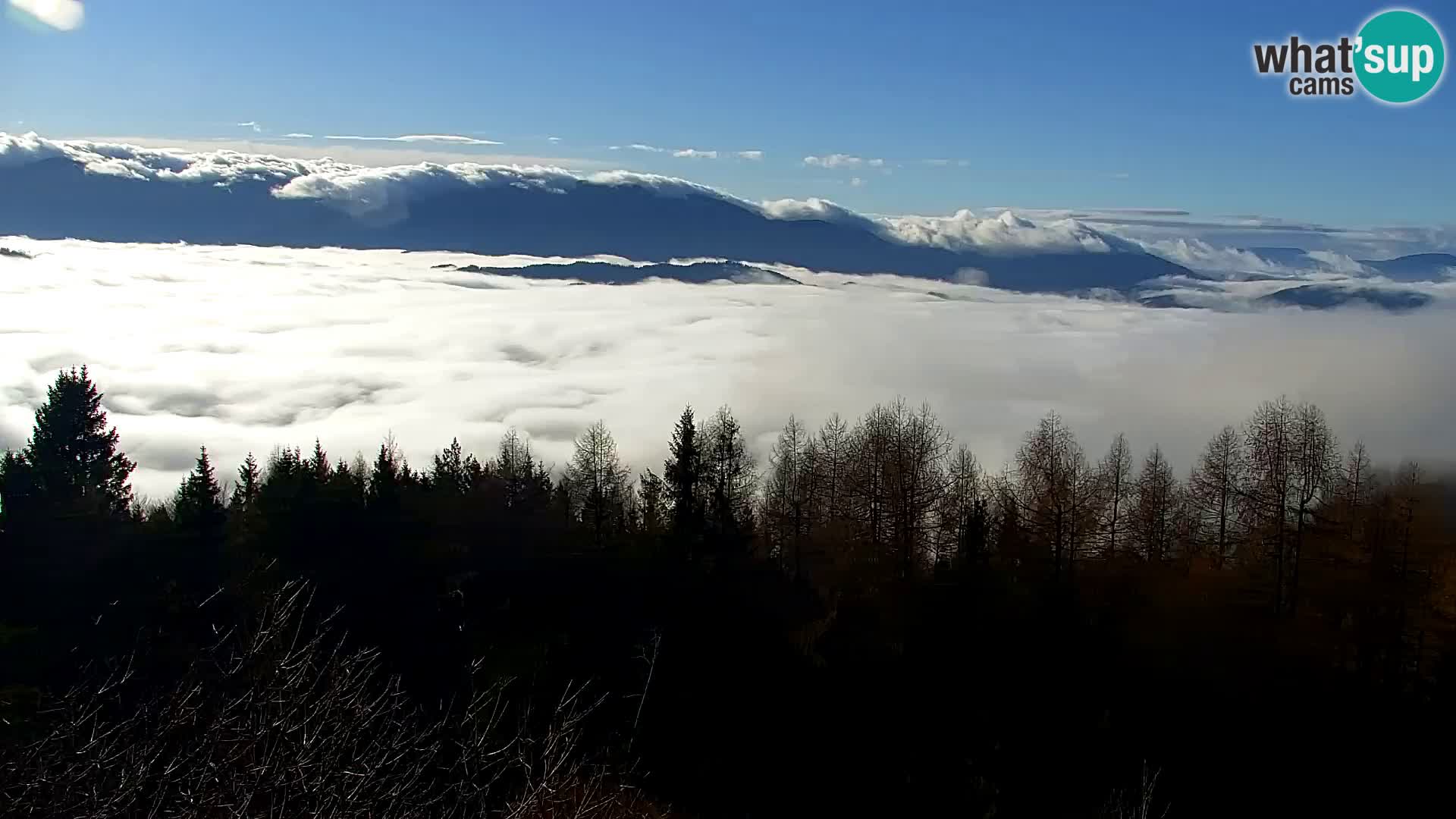 Webcam Kapunar – Radlje ob Dravi