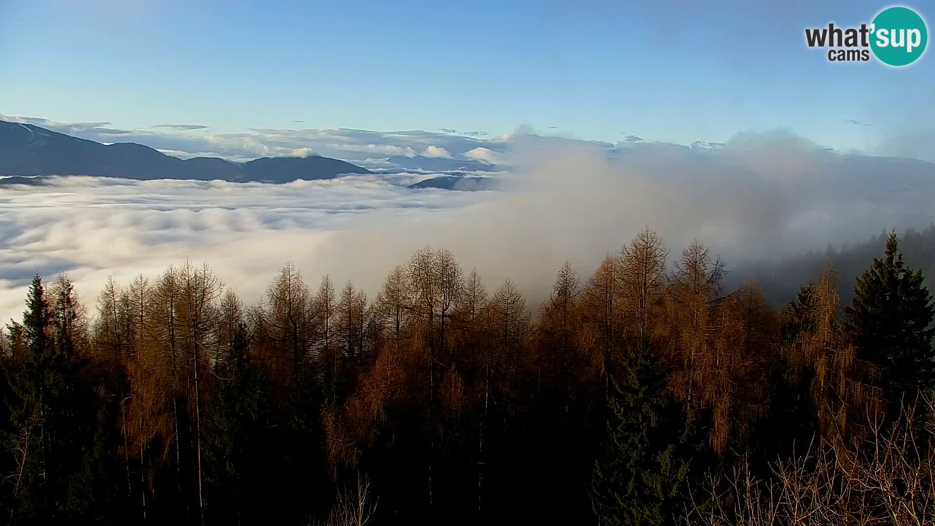 Webcam Kapunar – Radlje ob Dravi