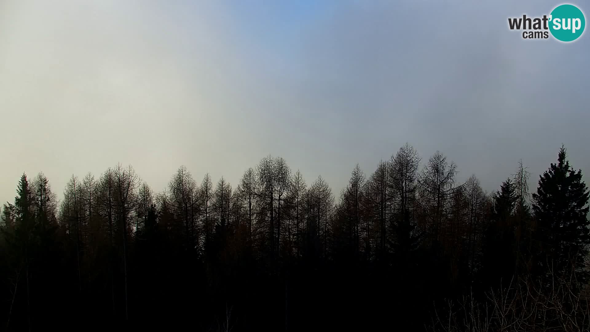 Kapunar Webcam – Radlje ob Dravi