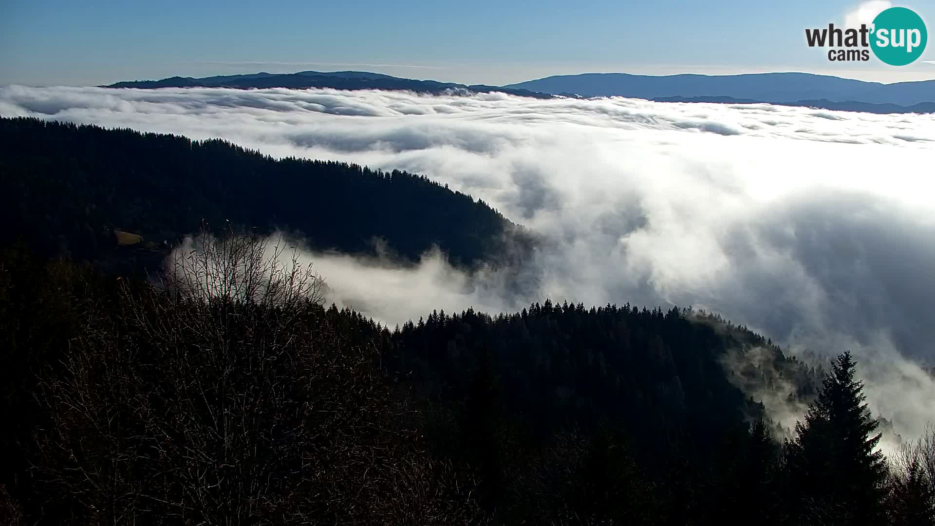 Spletna kamera Kapunar – Radlje ob Dravi