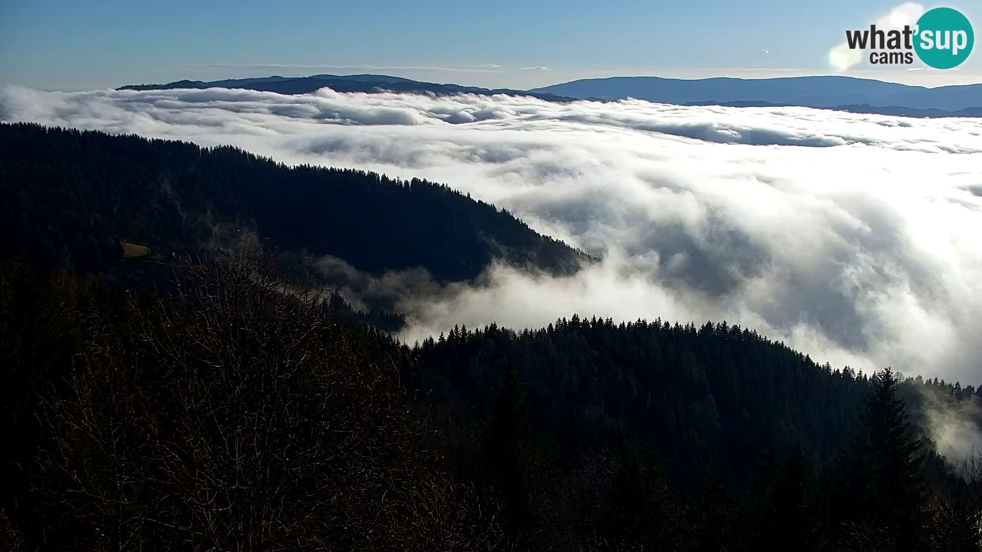 Spletna kamera Kapunar – Radlje ob Dravi