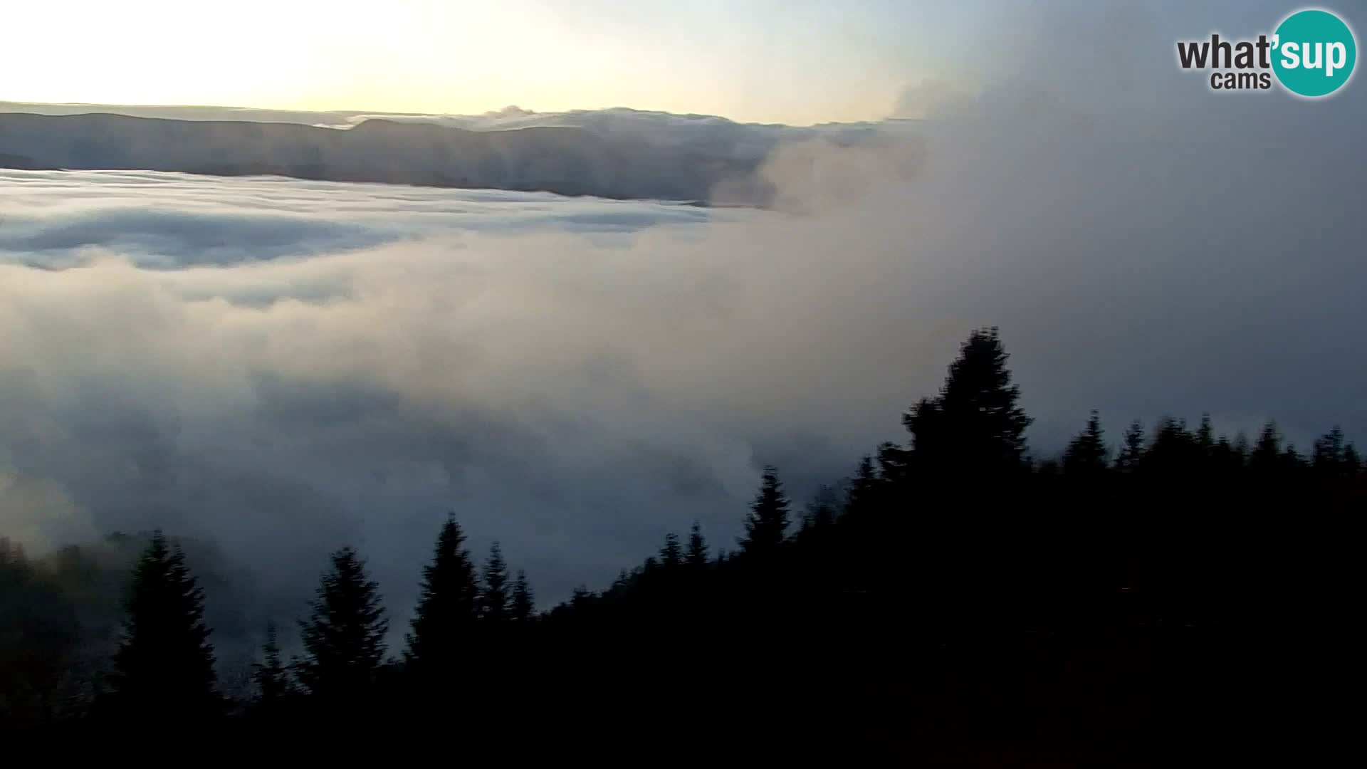 Live cam Kapunar – Radlje ob Dravi