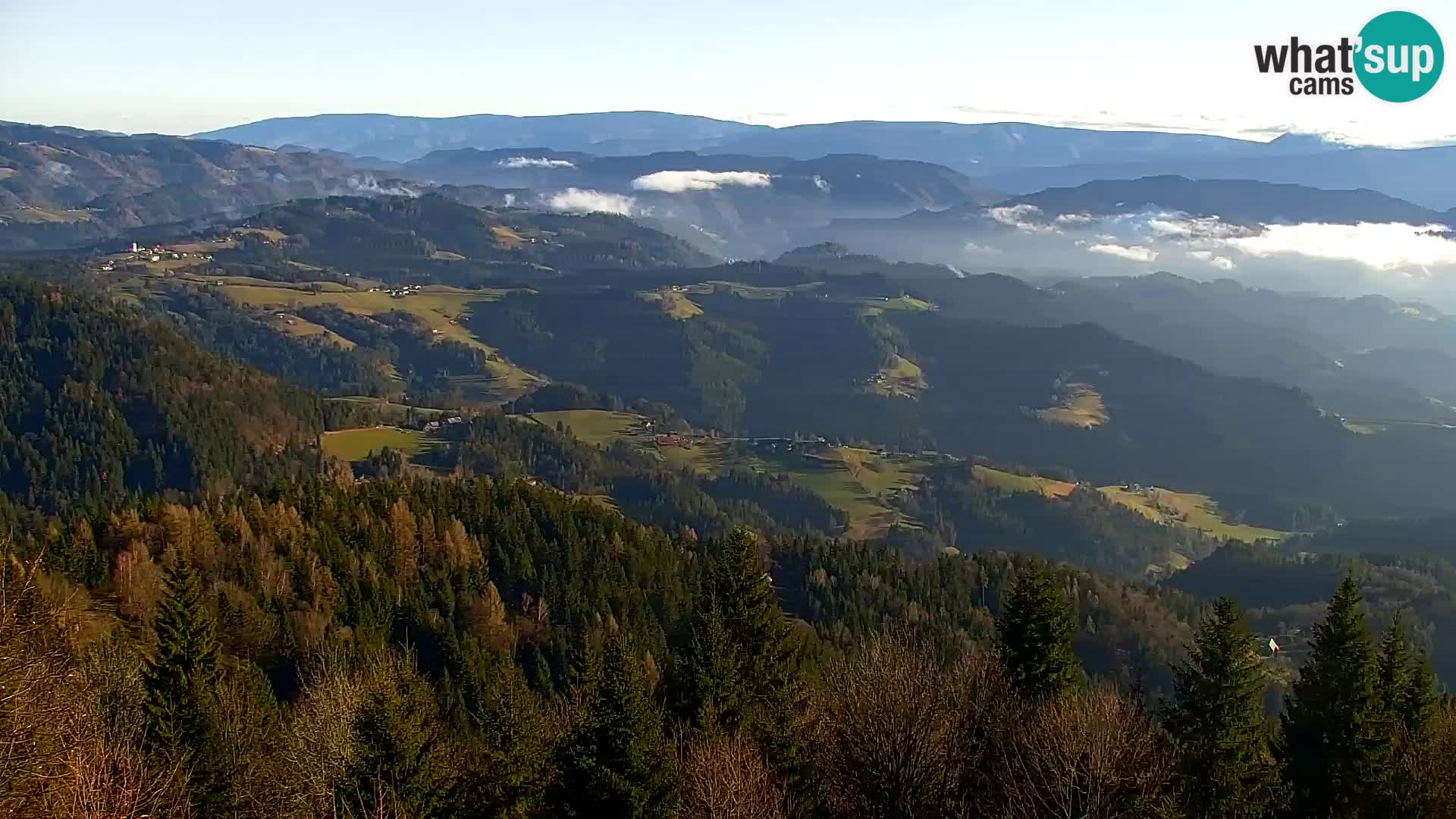 Spletna kamera Kapunar – Radlje ob Dravi