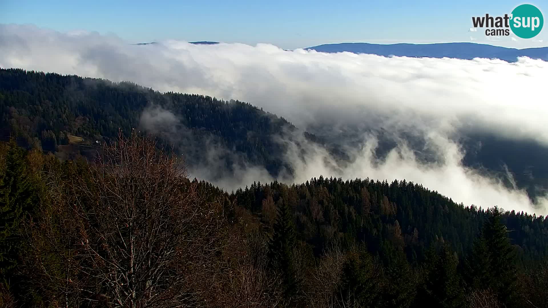 Kapunar Webcam – Radlje ob Dravi