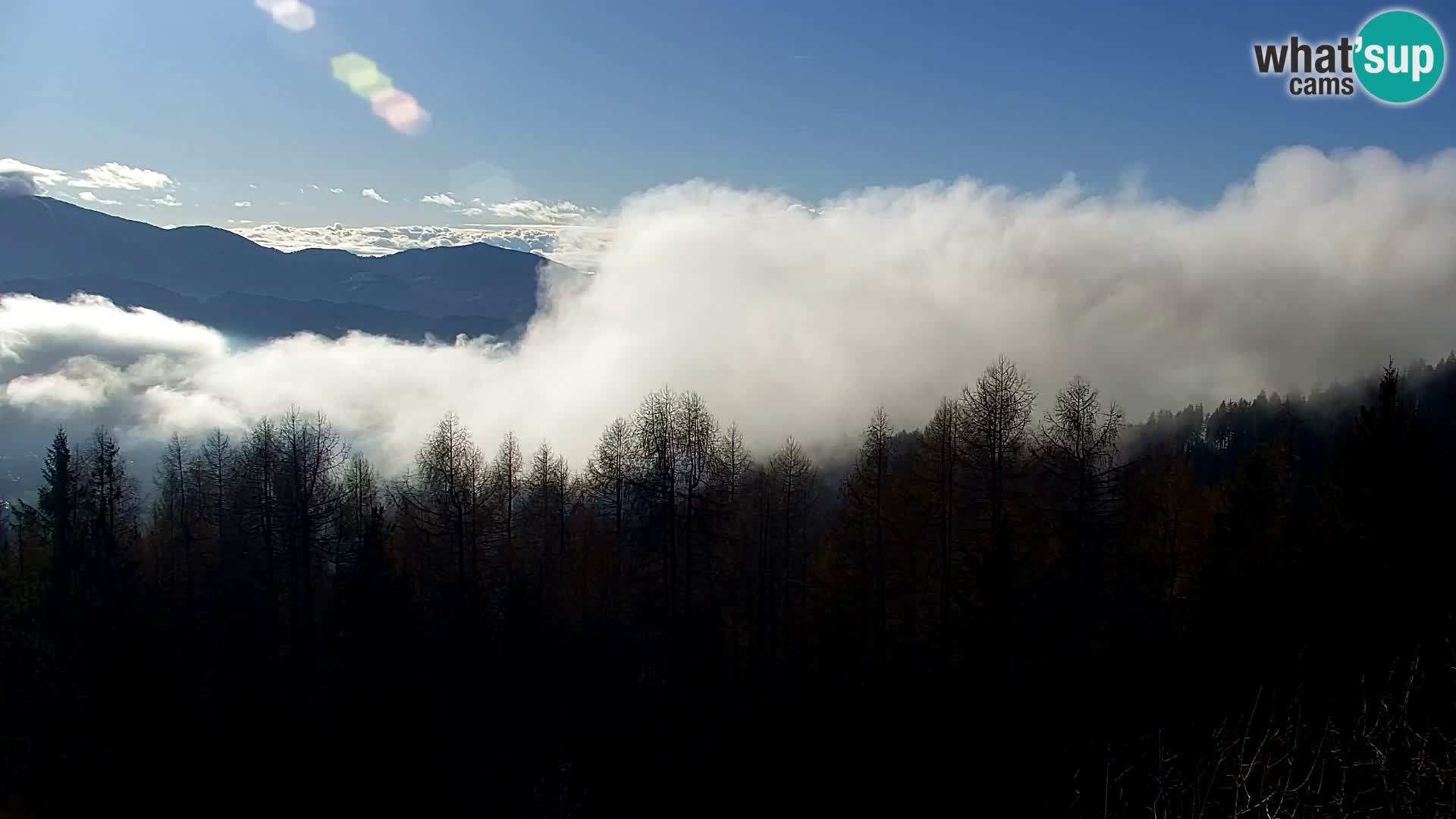 Kapunar Webcam – Radlje ob Dravi