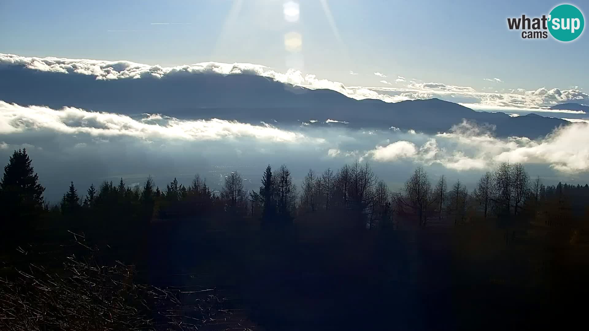 Kapunar Webcam – Radlje ob Dravi