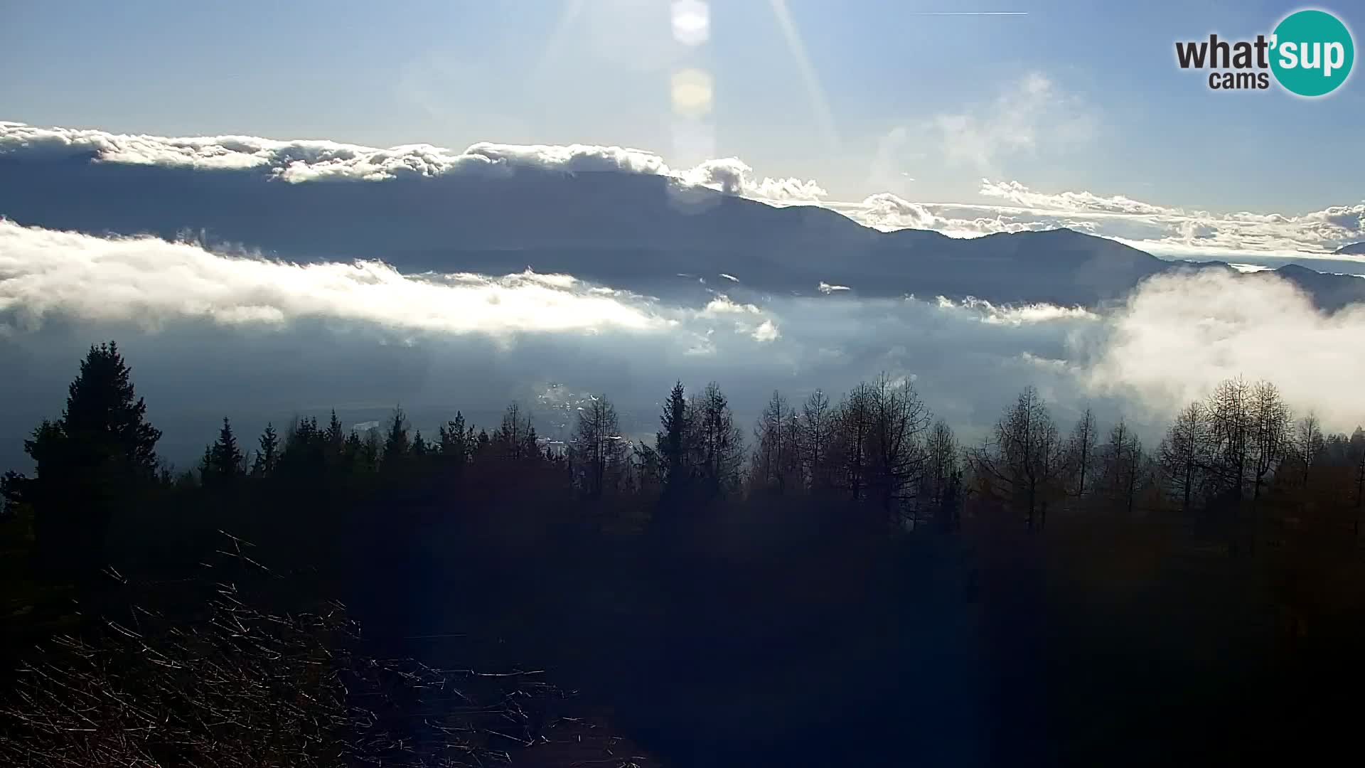 Webcam Kapunar – Radlje ob Dravi