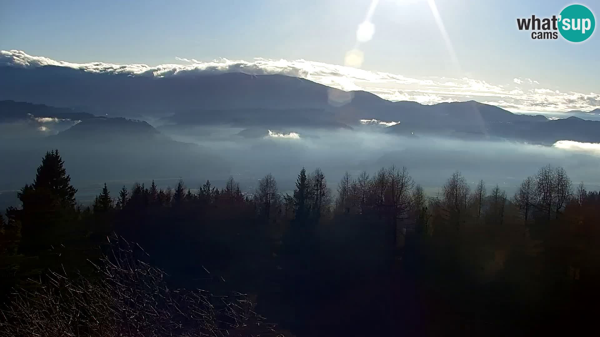 Kapunar Web kamera – Radlje ob Dravi