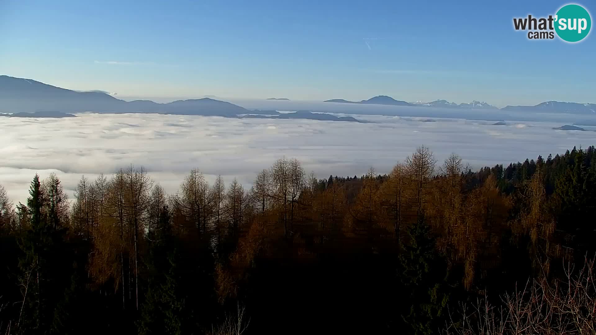 Kapunar Webcam – Radlje ob Dravi