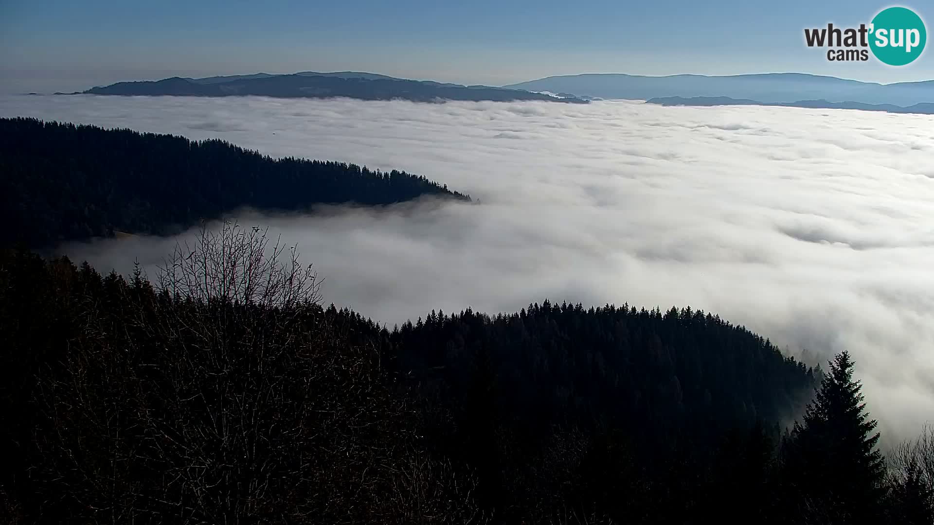 Kapunar Webcam – Radlje ob Dravi