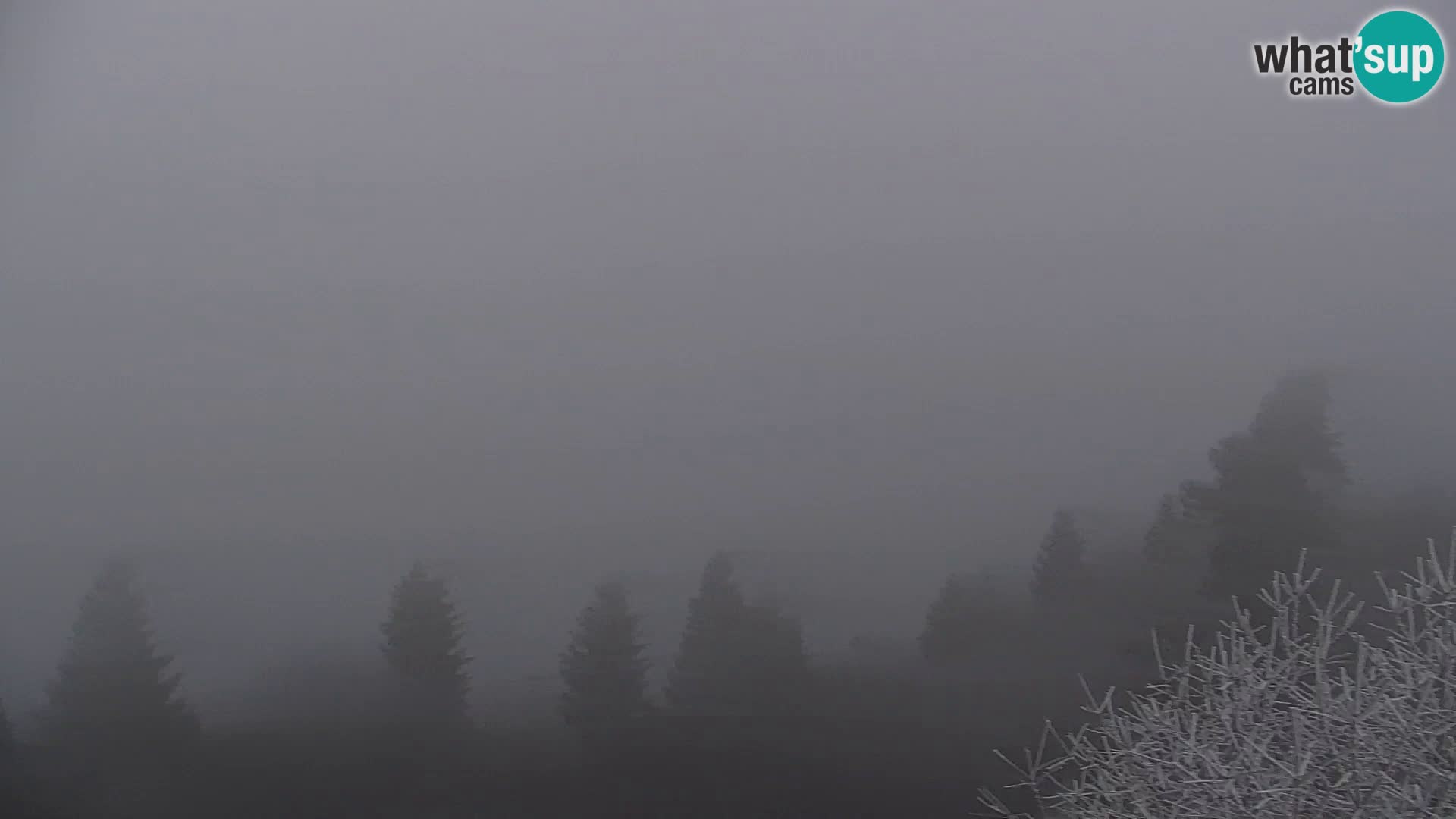 Webcam Kapunar – Radlje ob Dravi