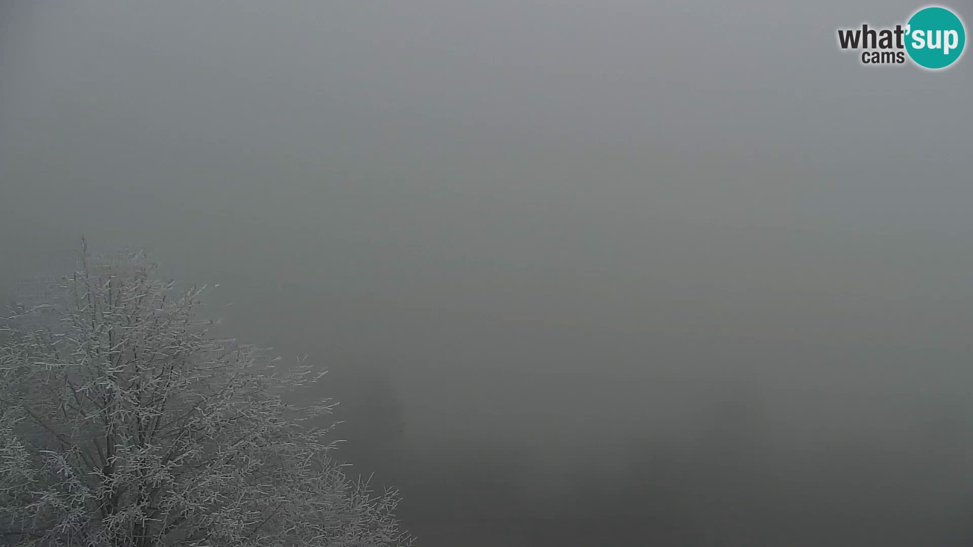 Live cam Kapunar – Radlje ob Dravi