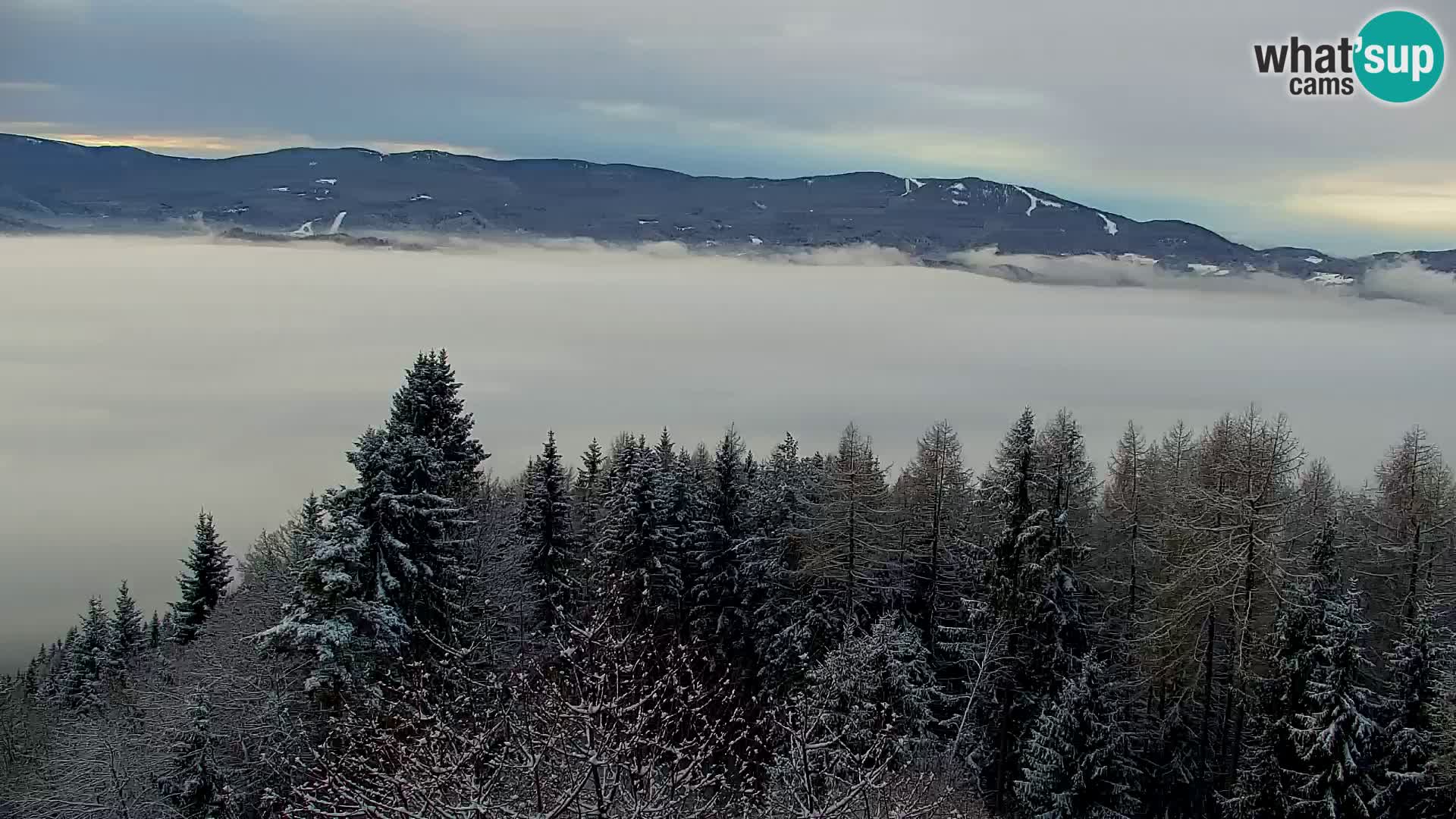 Kapunar Webcam – Radlje ob Dravi