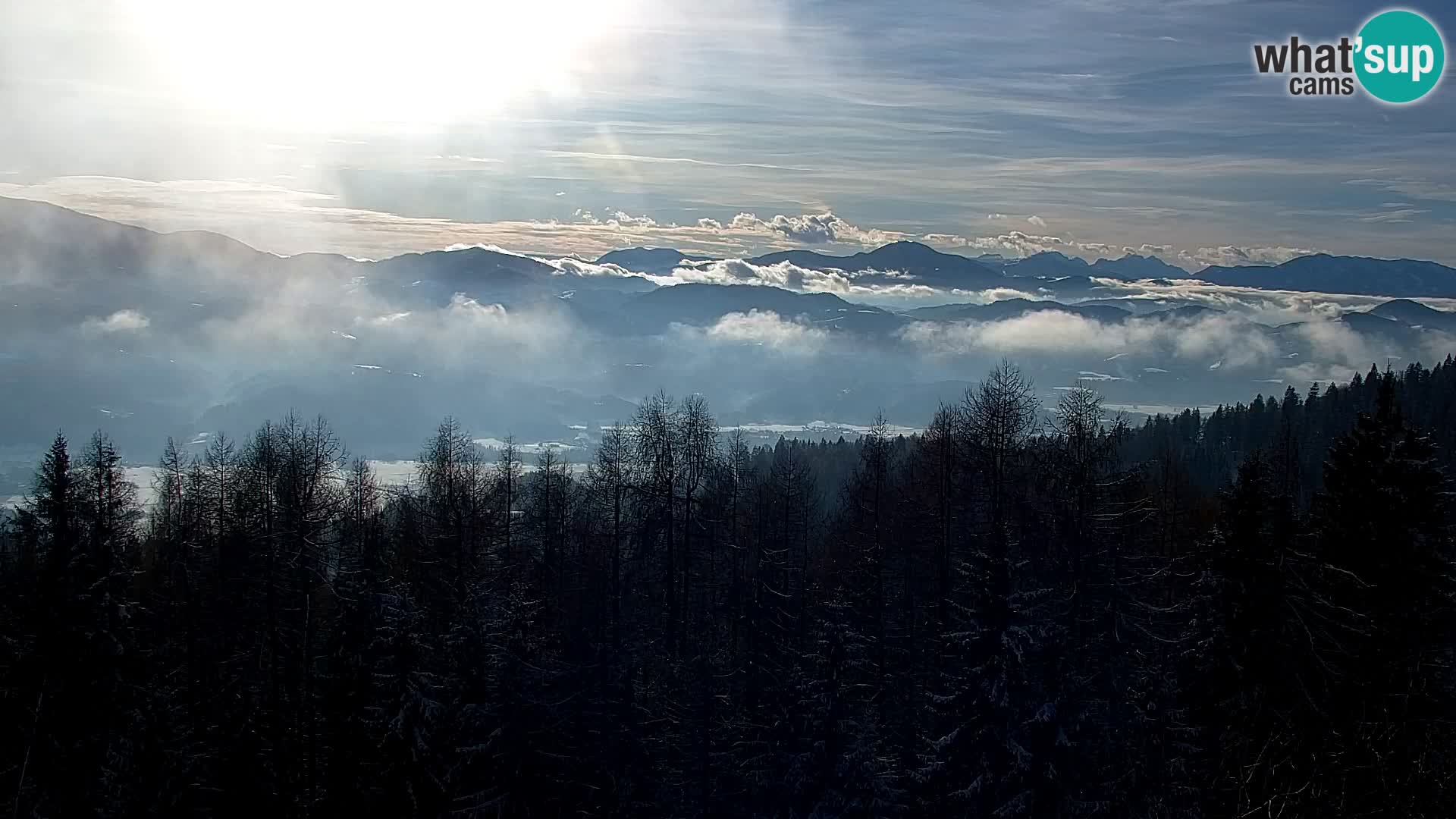 Spletna kamera Kapunar – Radlje ob Dravi