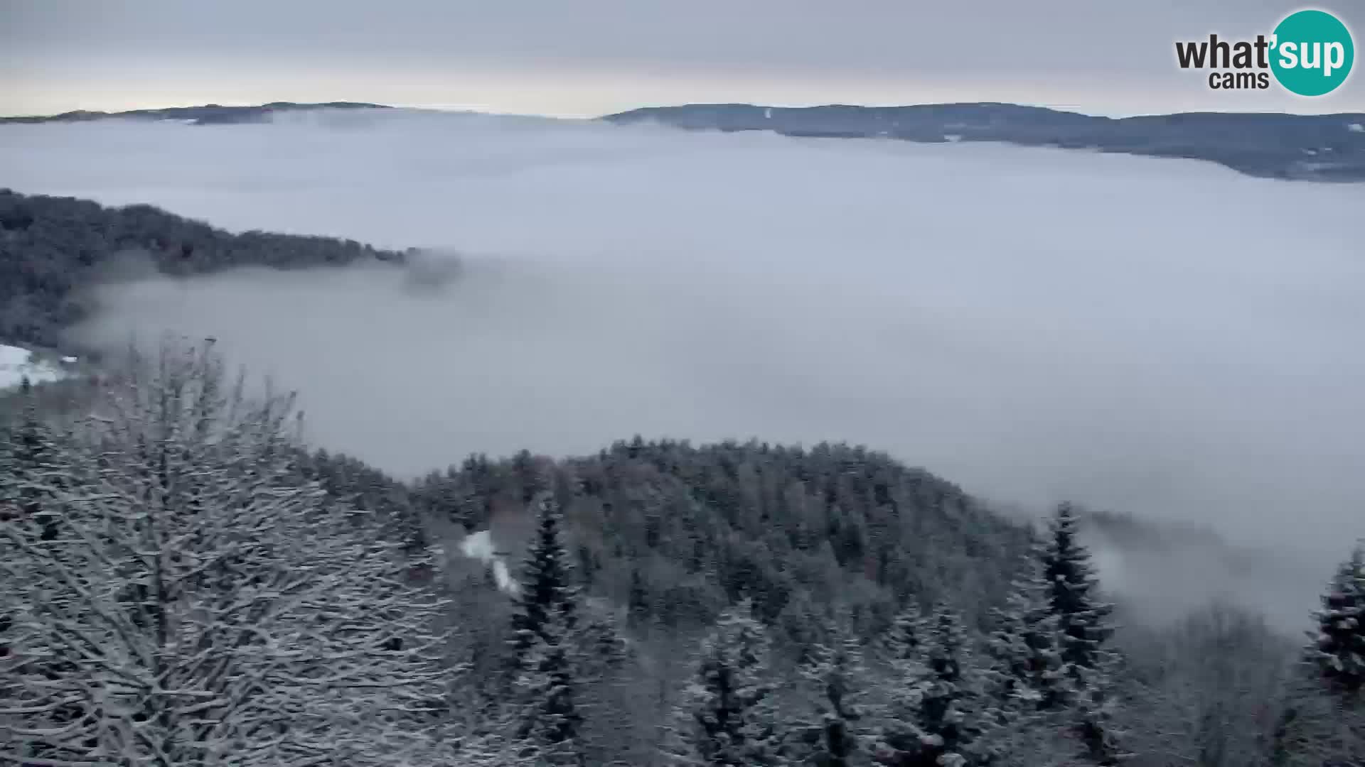 Spletna kamera Kapunar – Radlje ob Dravi