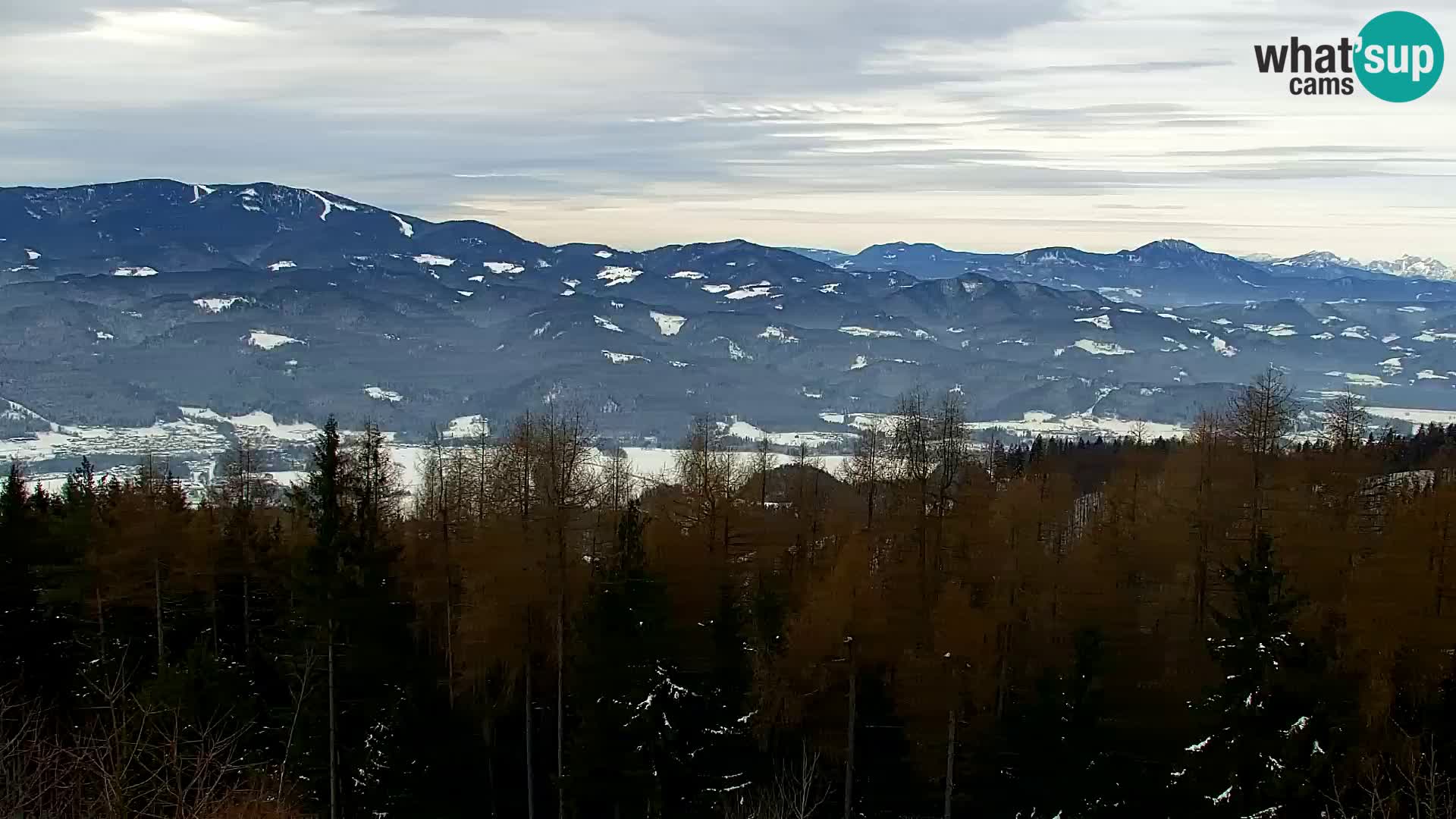 Live cam Kapunar – Radlje ob Dravi