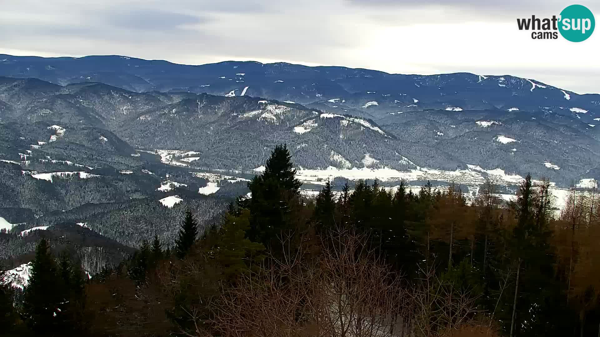 Live cam Kapunar – Radlje ob Dravi