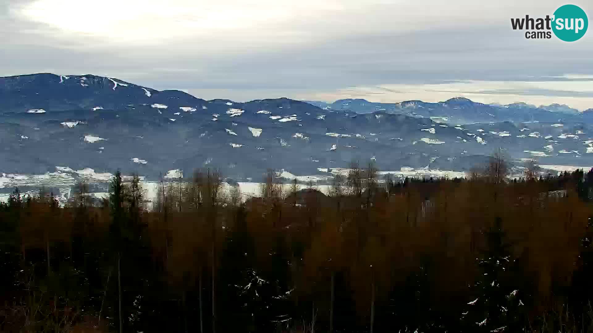 Kapunar Webcam – Radlje ob Dravi