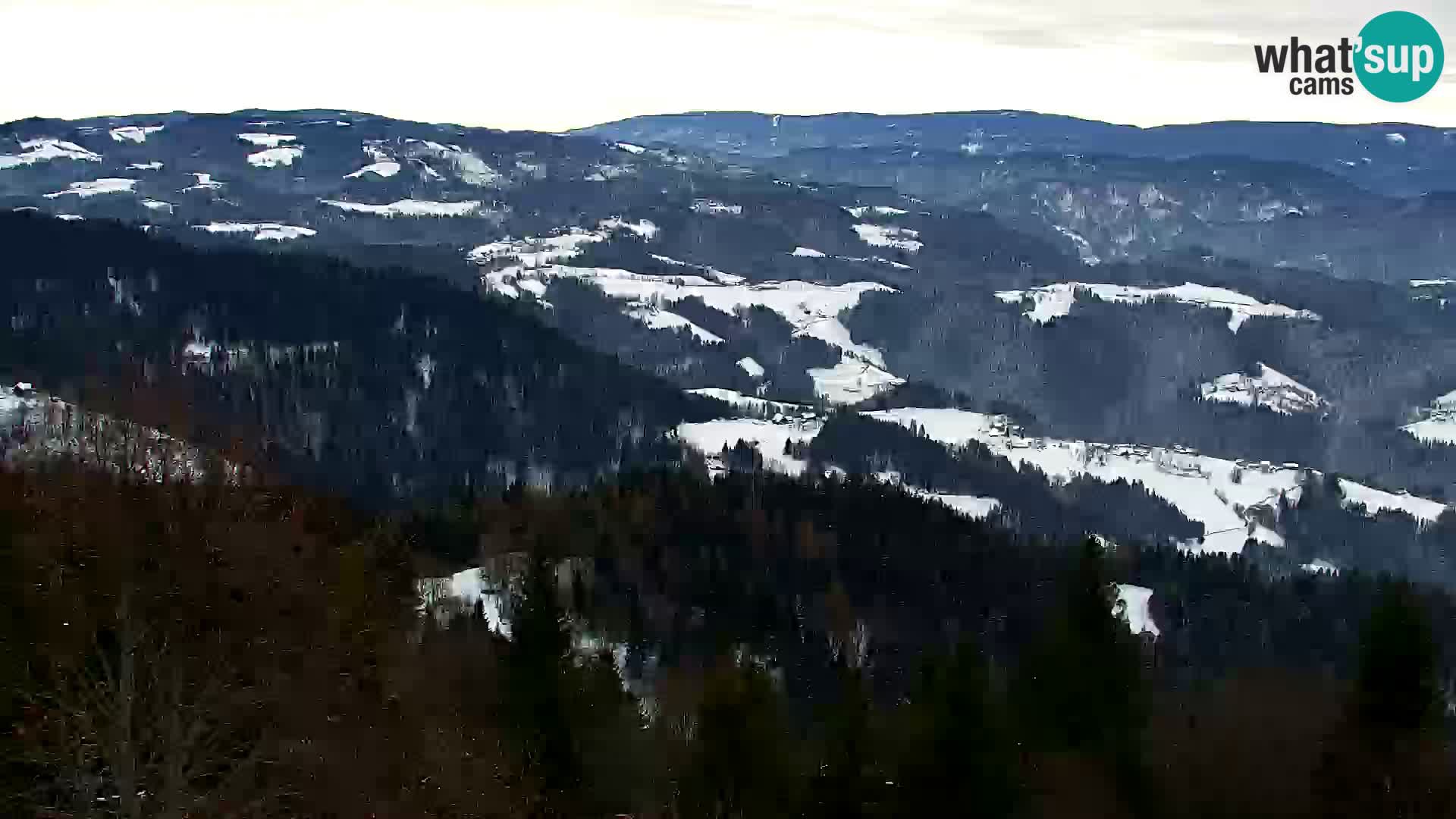 Kapunar Webcam – Radlje ob Dravi