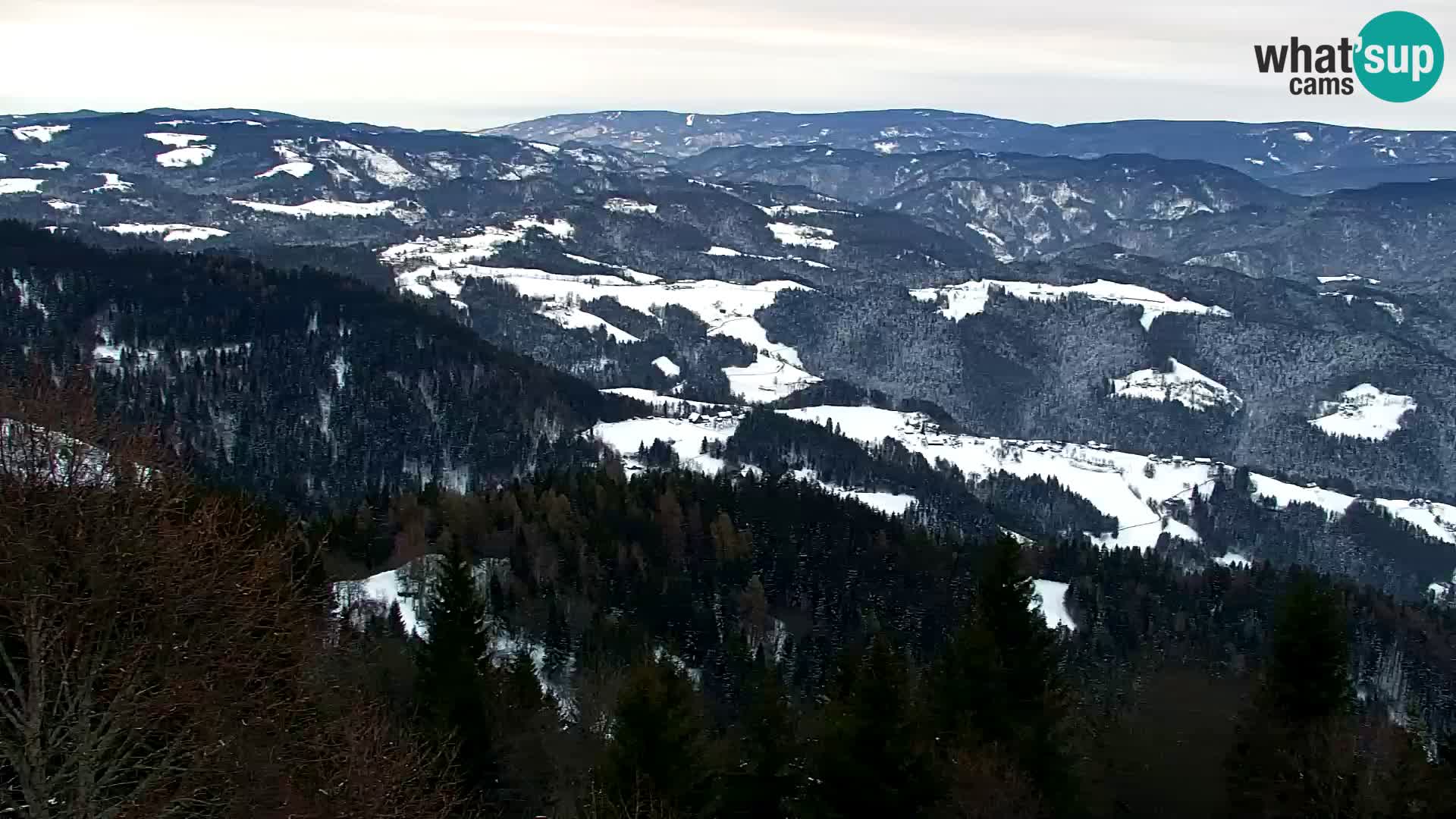 Webcam Kapunar – Radlje ob Dravi