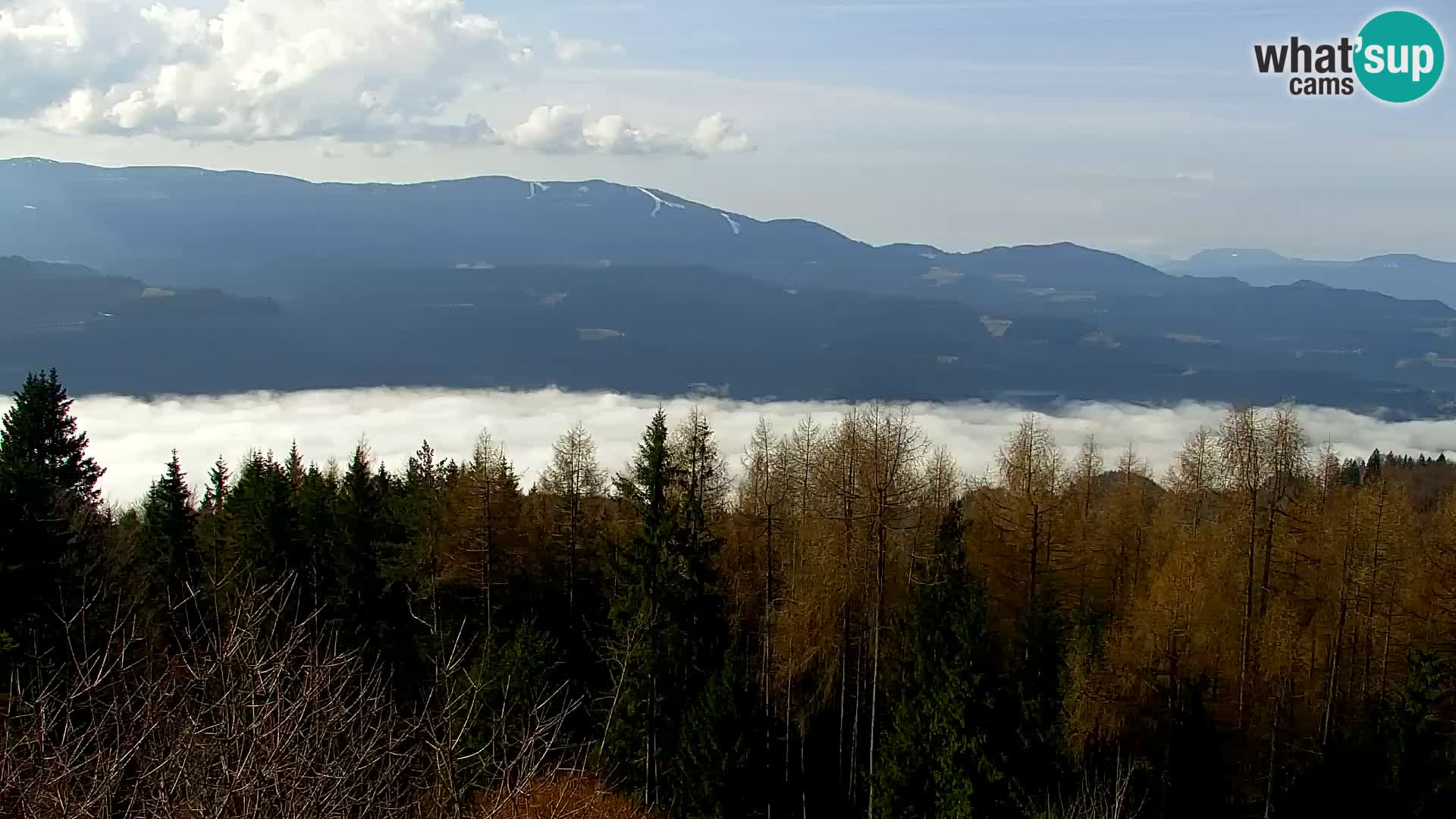 Webcam Kapunar – Radlje ob Dravi