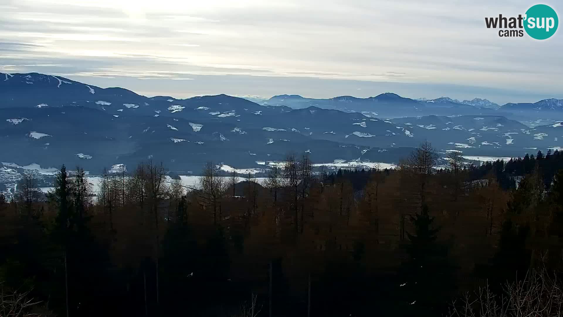 Webcam Kapunar – Radlje ob Dravi