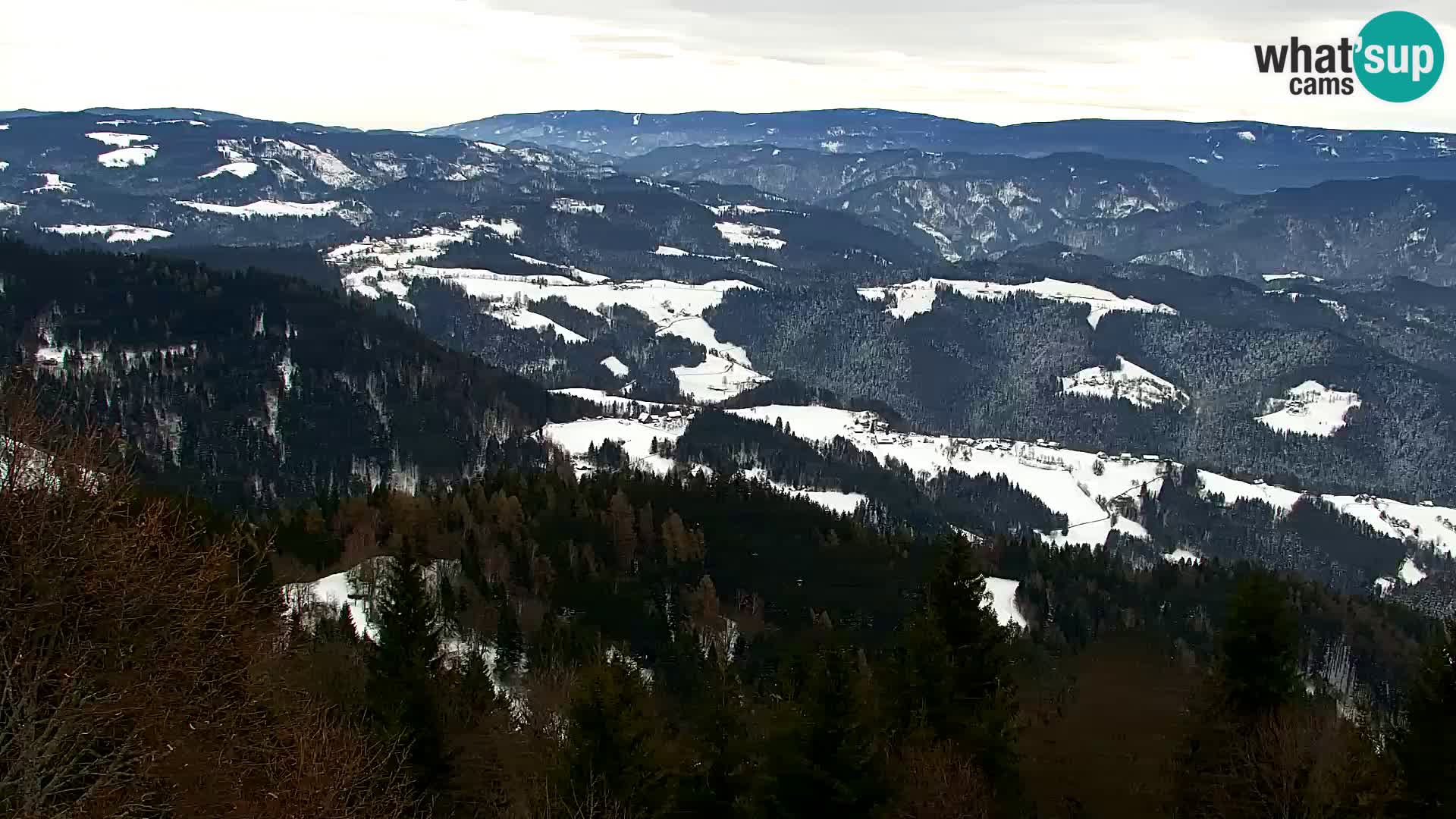 Kapunar Web kamera – Radlje ob Dravi