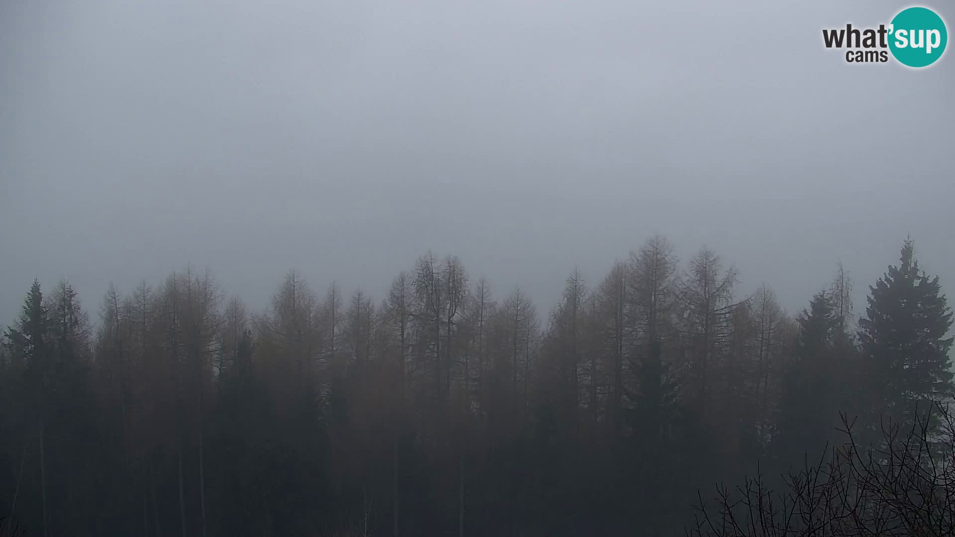 Kapunar Webcam – Radlje ob Dravi