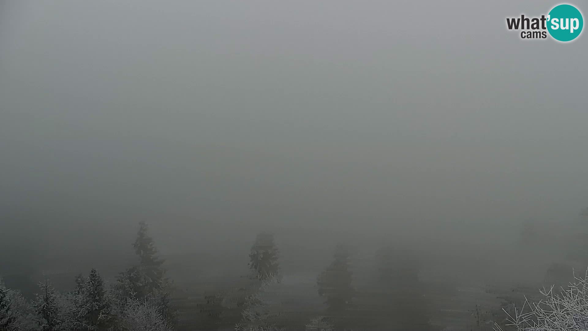 Live cam Kapunar – Radlje ob Dravi